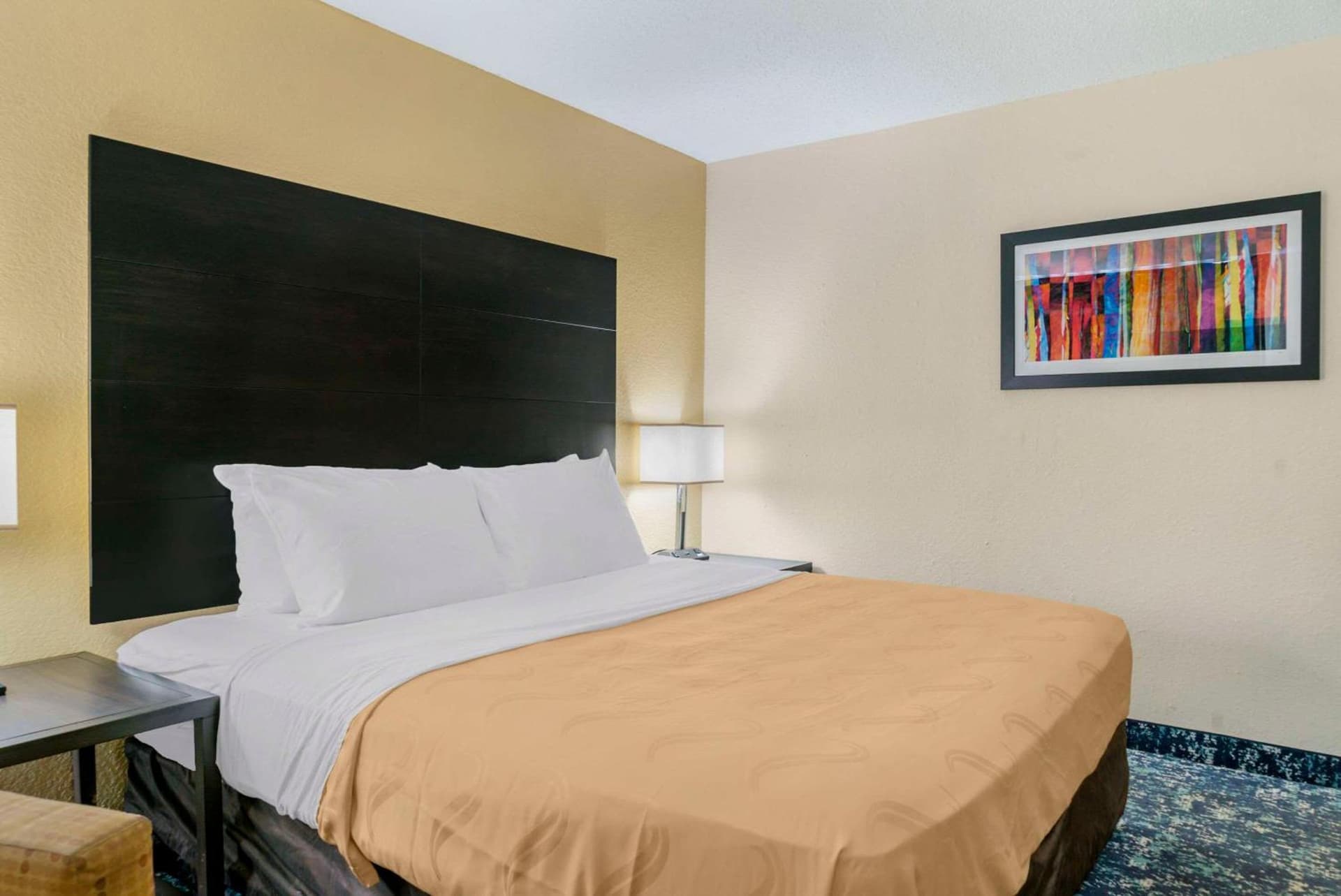 Quality Inn and Suites Livonia gallery photo in Livonia, MI — image 10