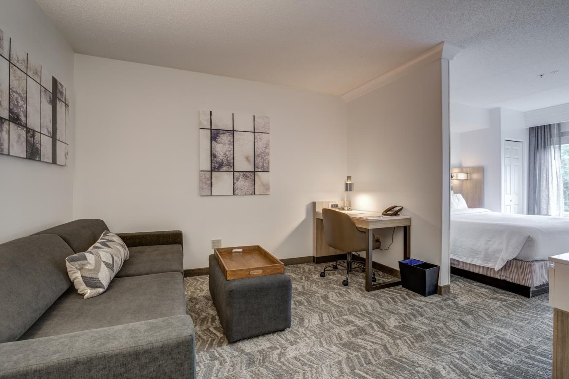 SpringHill Suites Gainesville gallery photo in Gainesville, FL — image 11