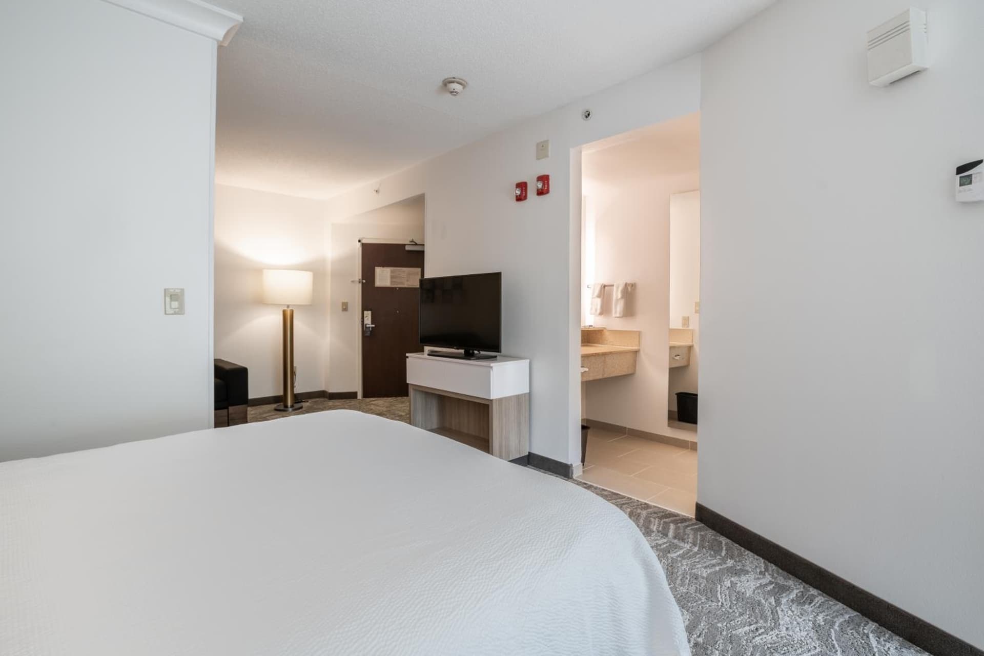 SpringHill Suites Gainesville gallery photo in Gainesville, FL — image 52