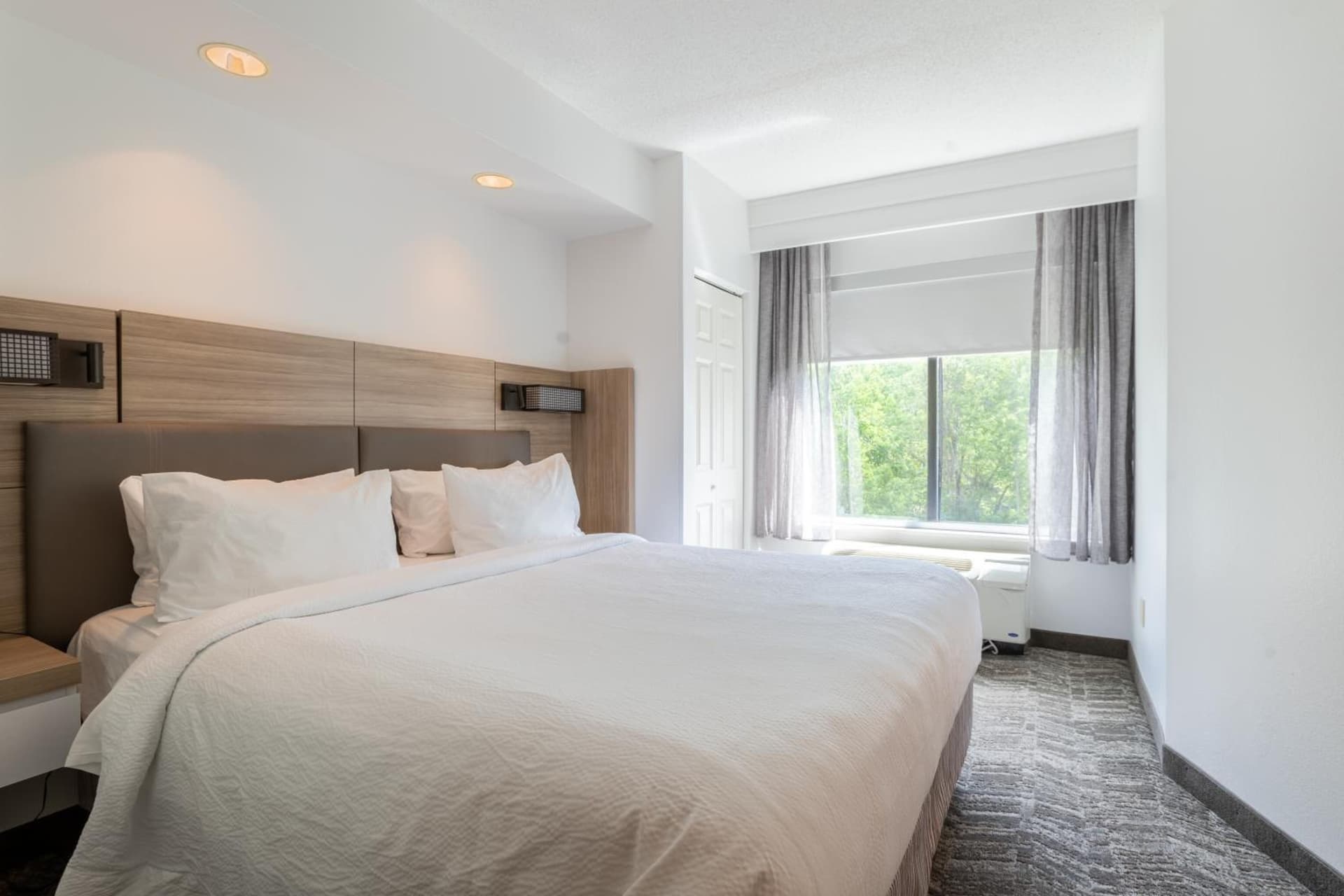 SpringHill Suites Gainesville gallery photo in Gainesville, FL — image 84