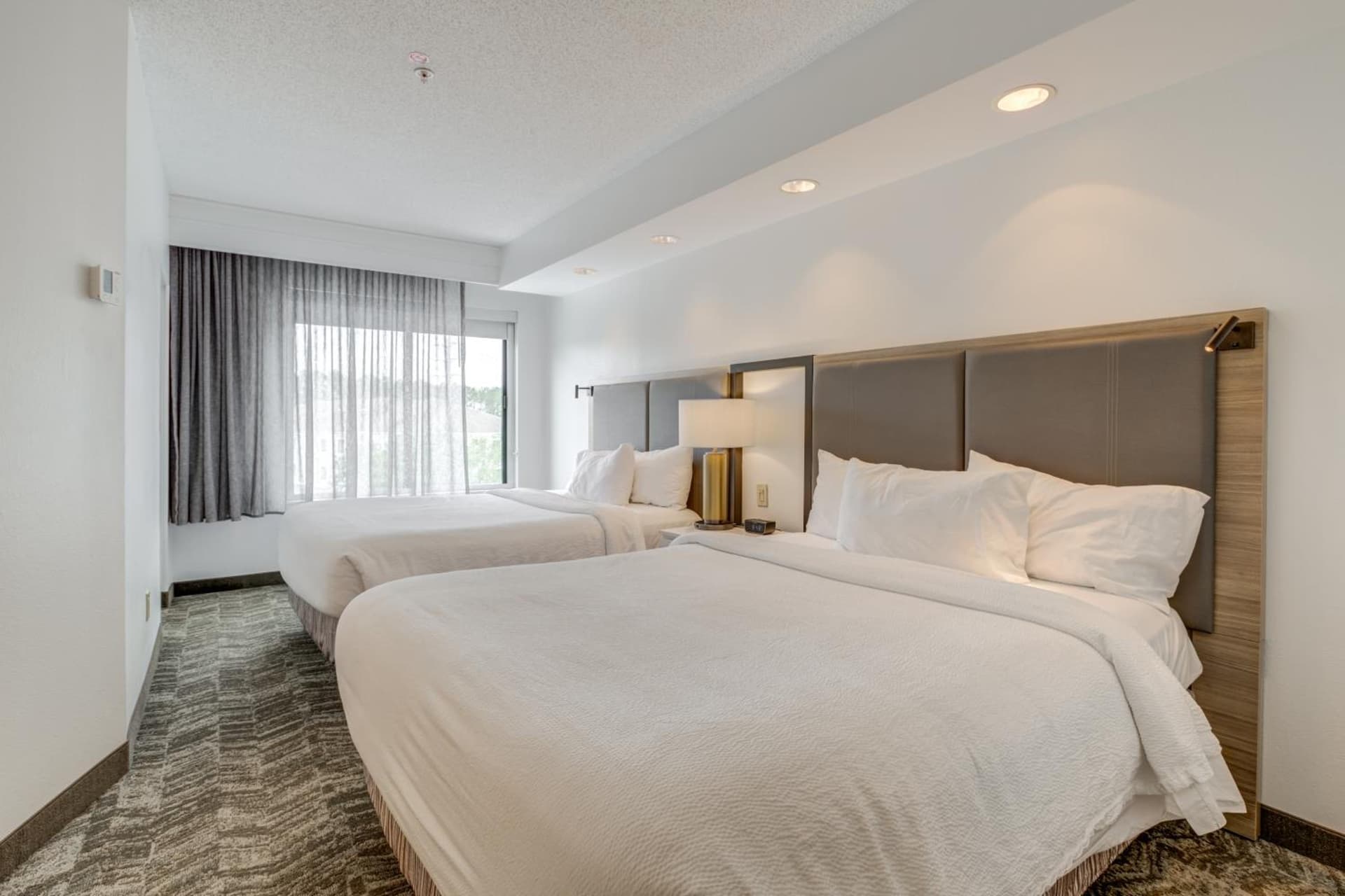 SpringHill Suites Gainesville gallery photo in Gainesville, FL — image 26