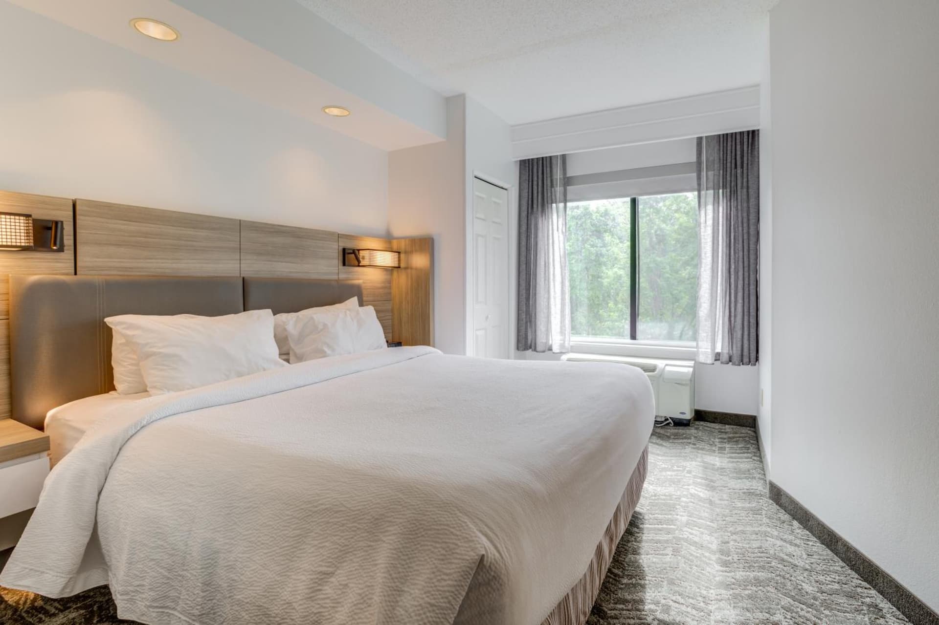 SpringHill Suites Gainesville gallery photo in Gainesville, FL — image 78