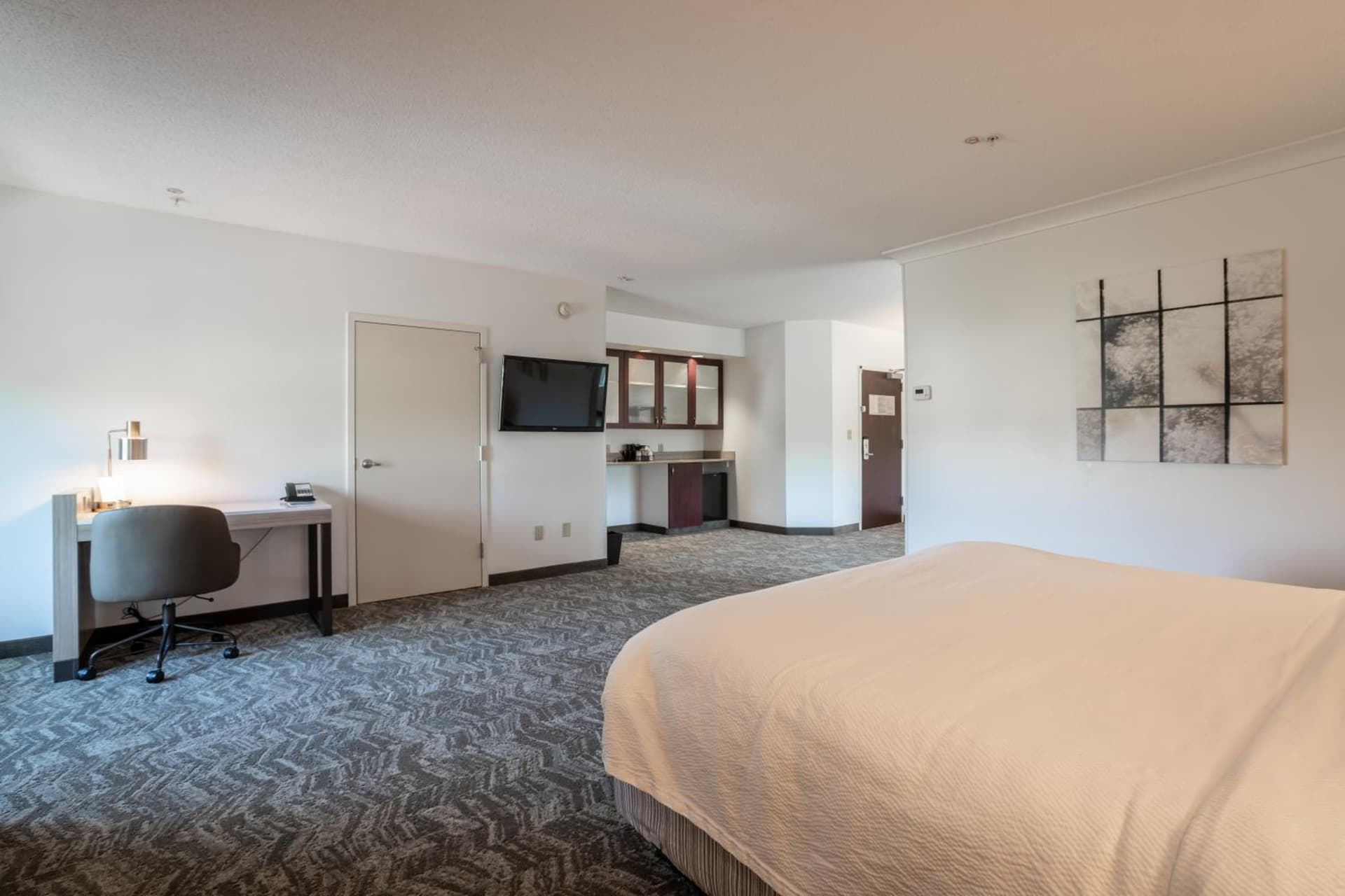 SpringHill Suites Gainesville gallery photo in Gainesville, FL — image 17