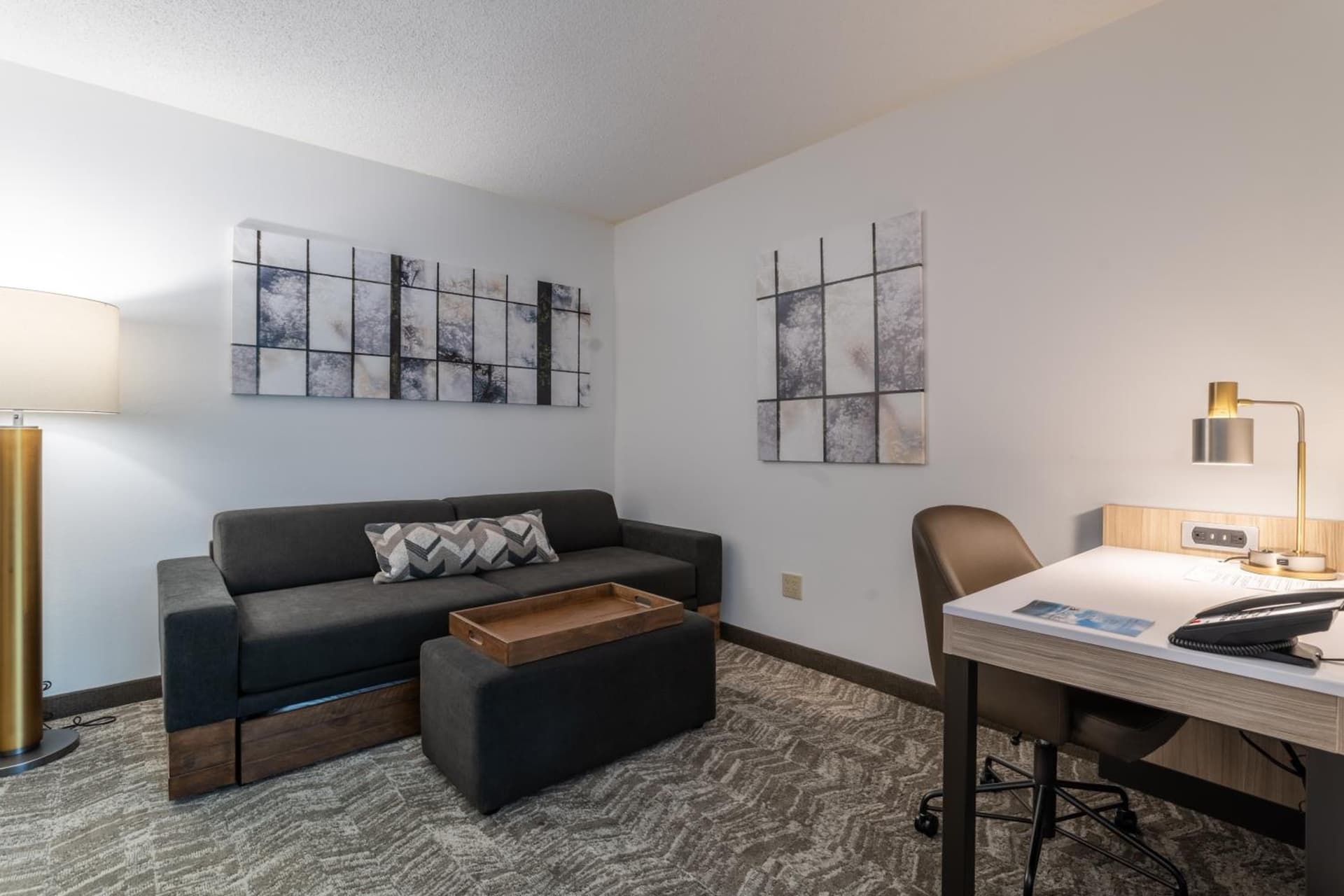 SpringHill Suites Gainesville gallery photo in Gainesville, FL — image 19