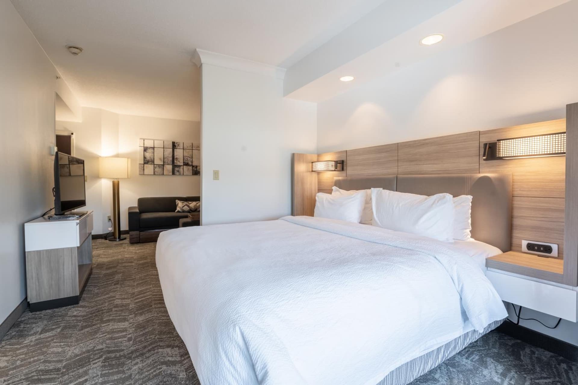 SpringHill Suites Gainesville gallery photo in Gainesville, FL — image 57
