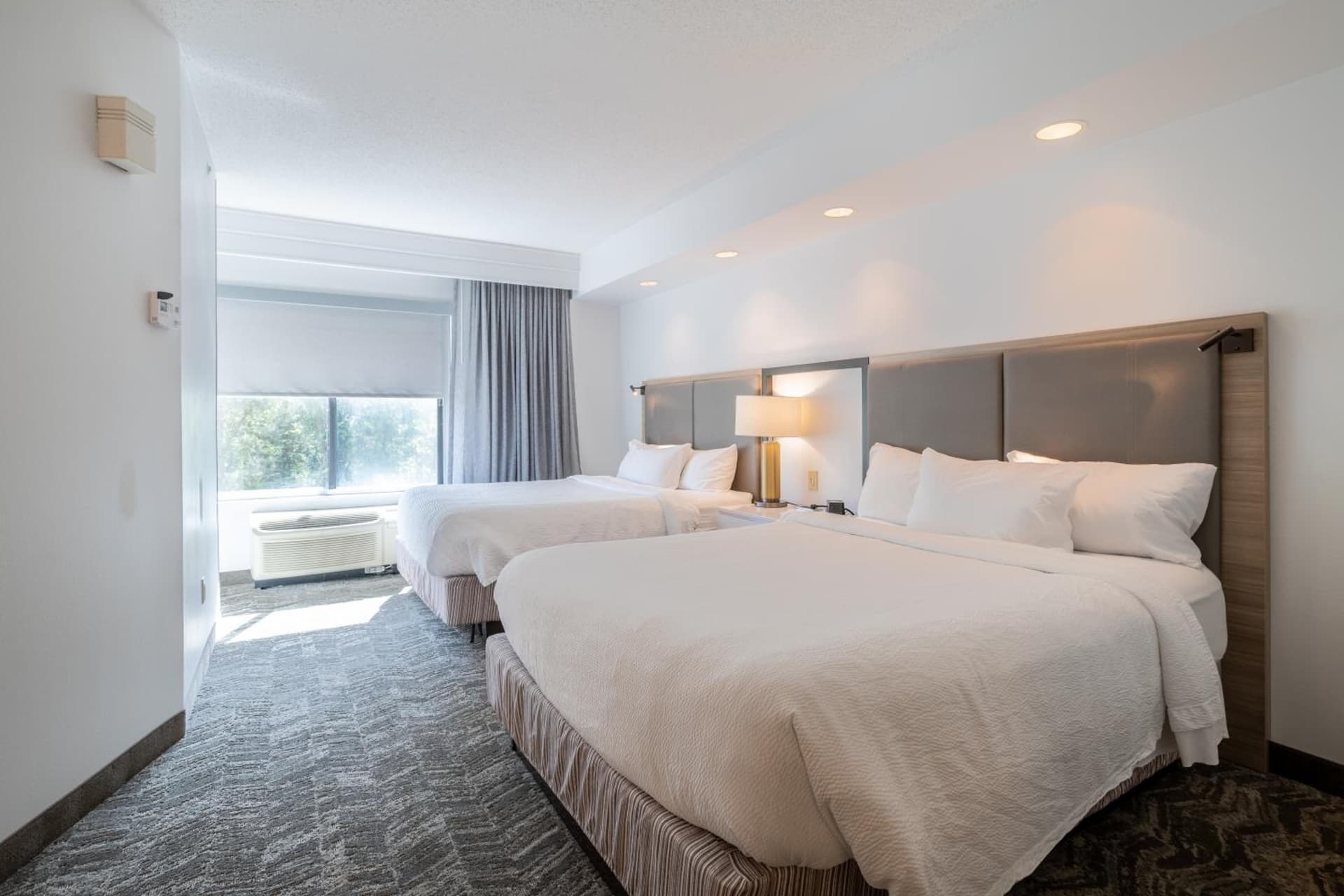 SpringHill Suites Gainesville gallery photo in Gainesville, FL — image 85