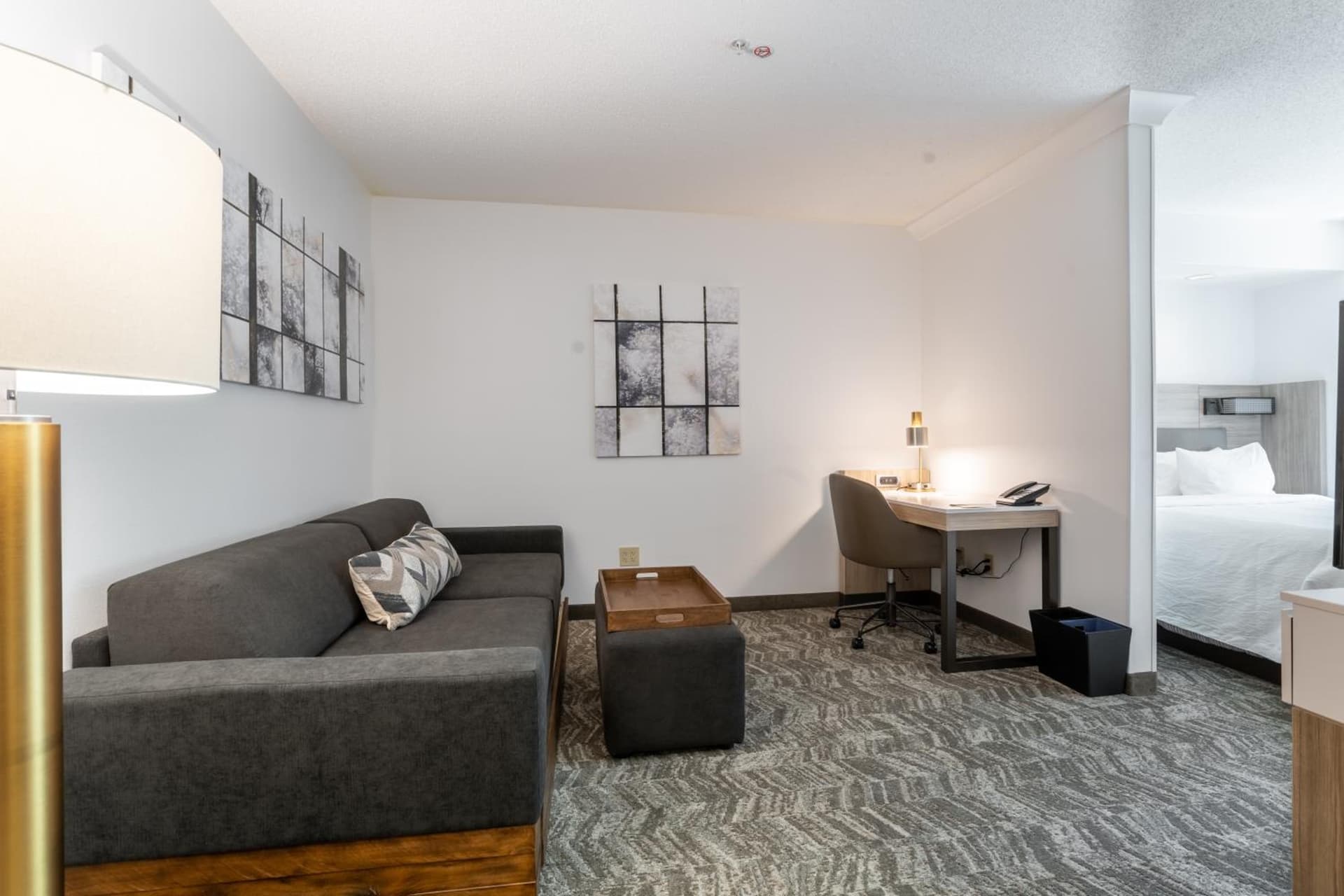 SpringHill Suites Gainesville gallery photo in Gainesville, FL — image 76