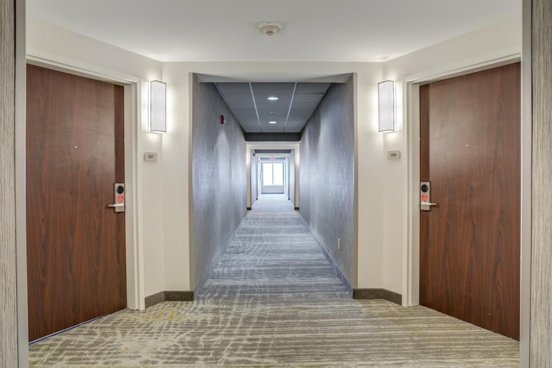SpringHill Suites Gainesville gallery photo in Gainesville, FL — image 39