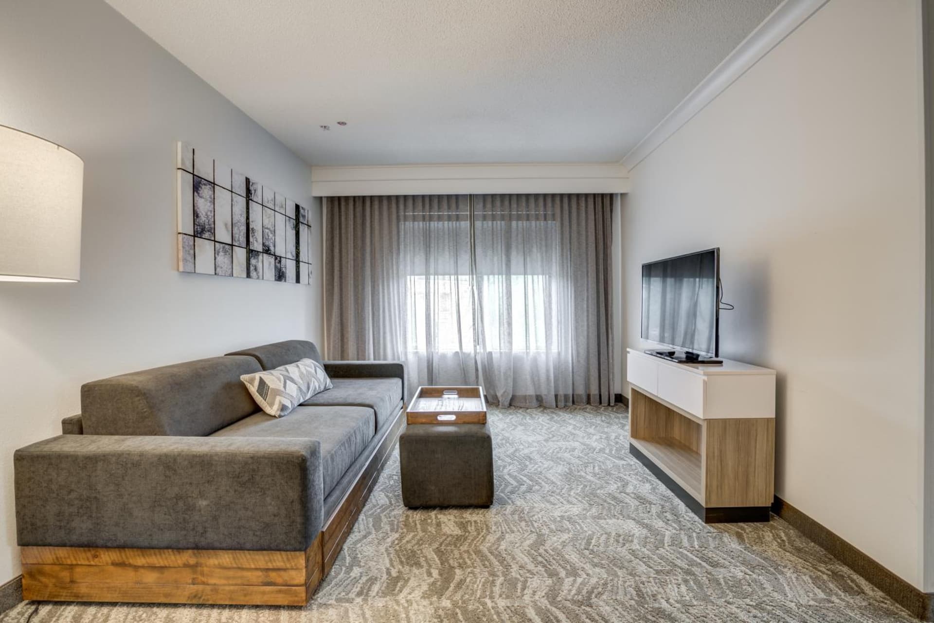 SpringHill Suites Gainesville gallery photo in Gainesville, FL — image 68