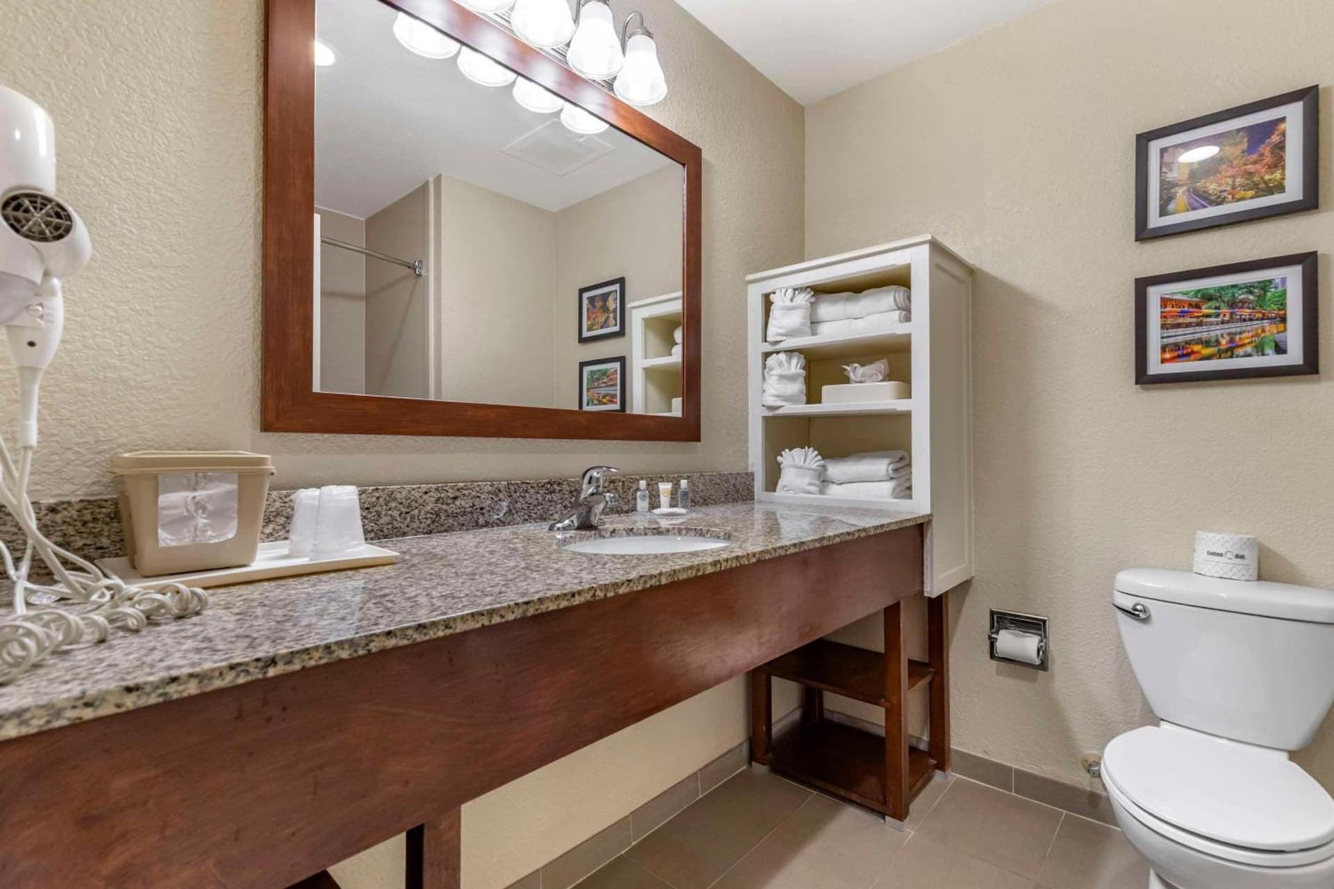 Comfort Suites Medical Center near Six Flags gallery photo in San Antonio, TX — image 49