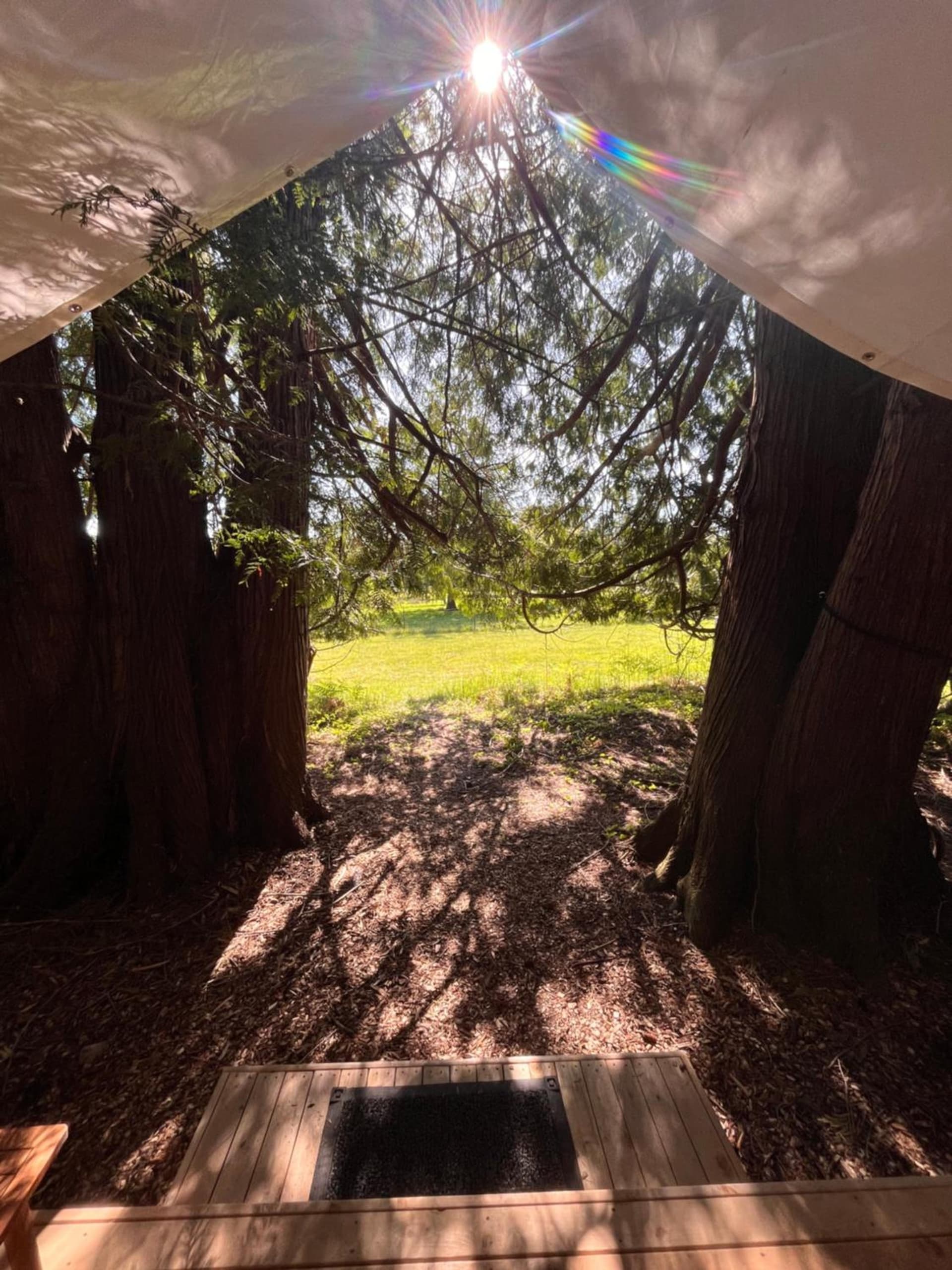 Lopez Farm Cottages & Tent Camping gallery photo in Lopez — image 38