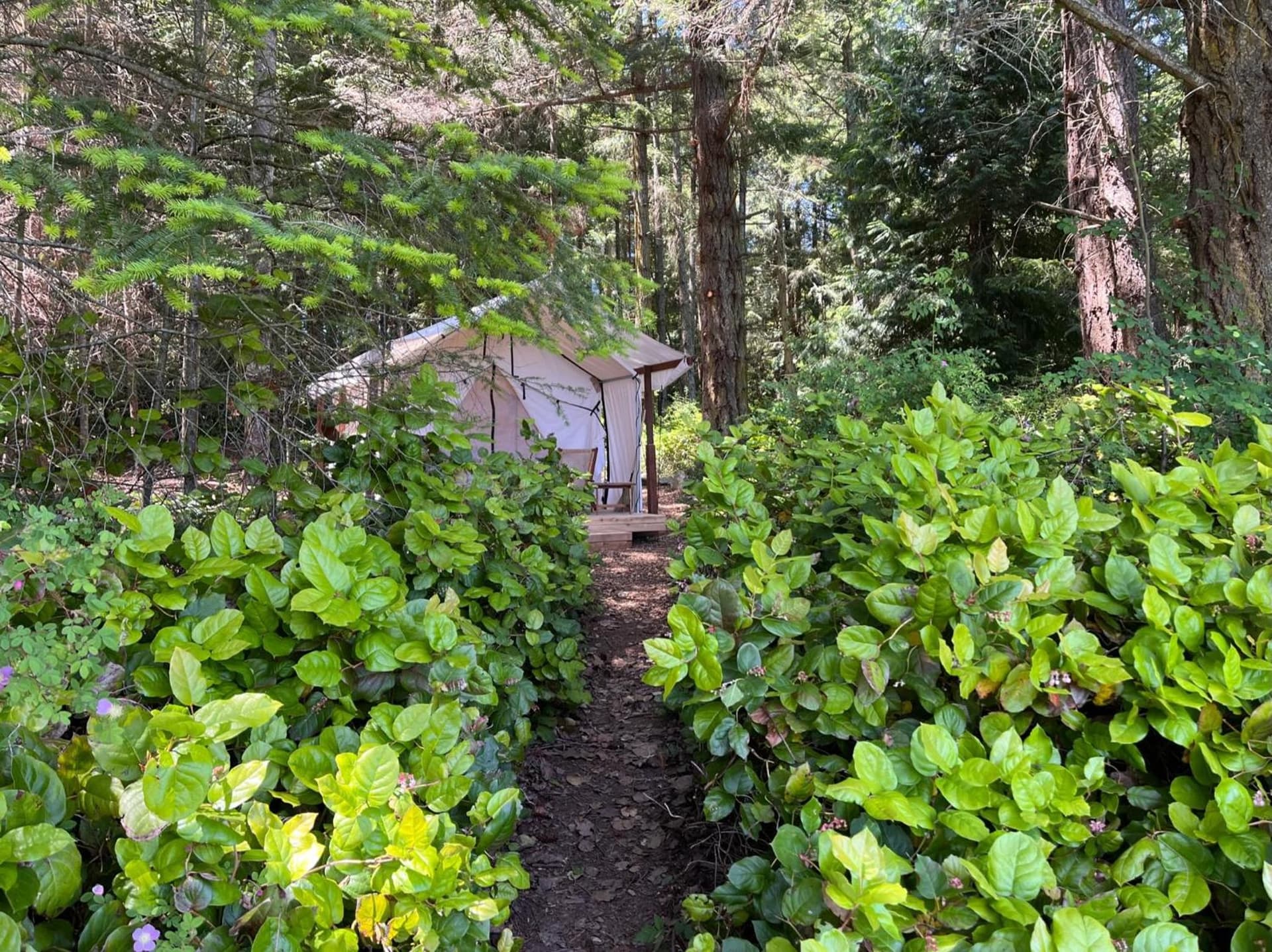 Lopez Farm Cottages & Tent Camping gallery photo in Lopez — image 19