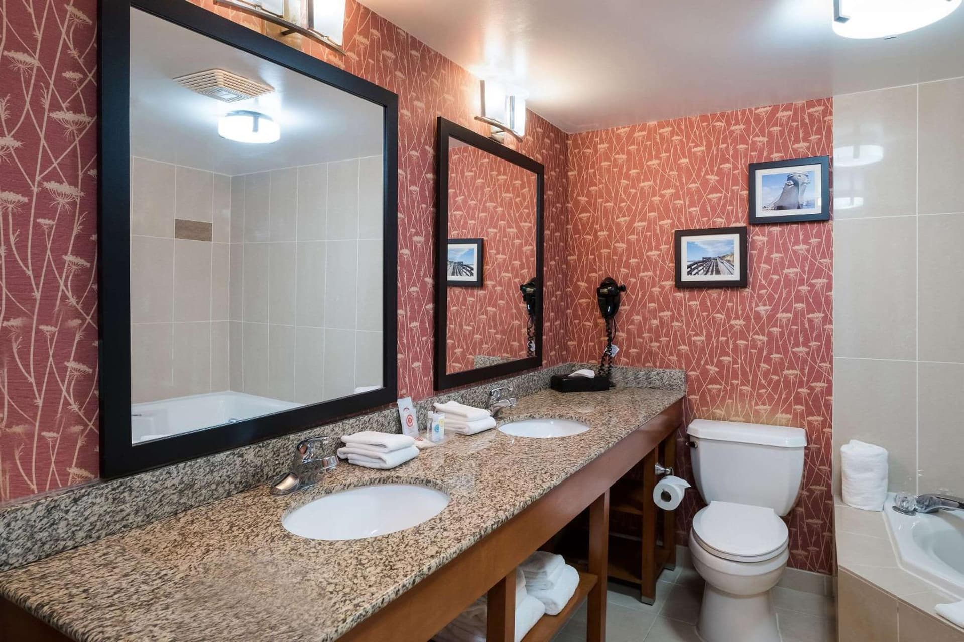 Comfort Suites Suffolk - Chesapeake interior in Suffolk, VA — gallery photo 2