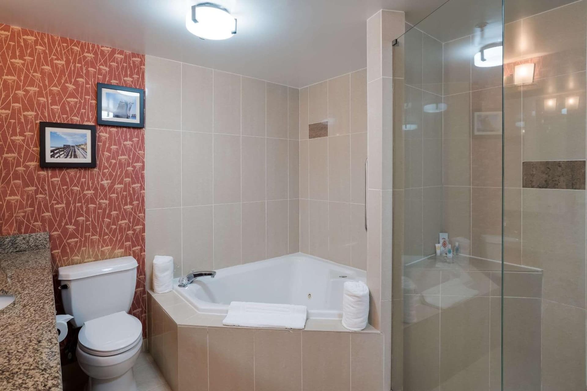 Comfort Suites Suffolk - Chesapeake gallery photo in Suffolk, VA — image 9