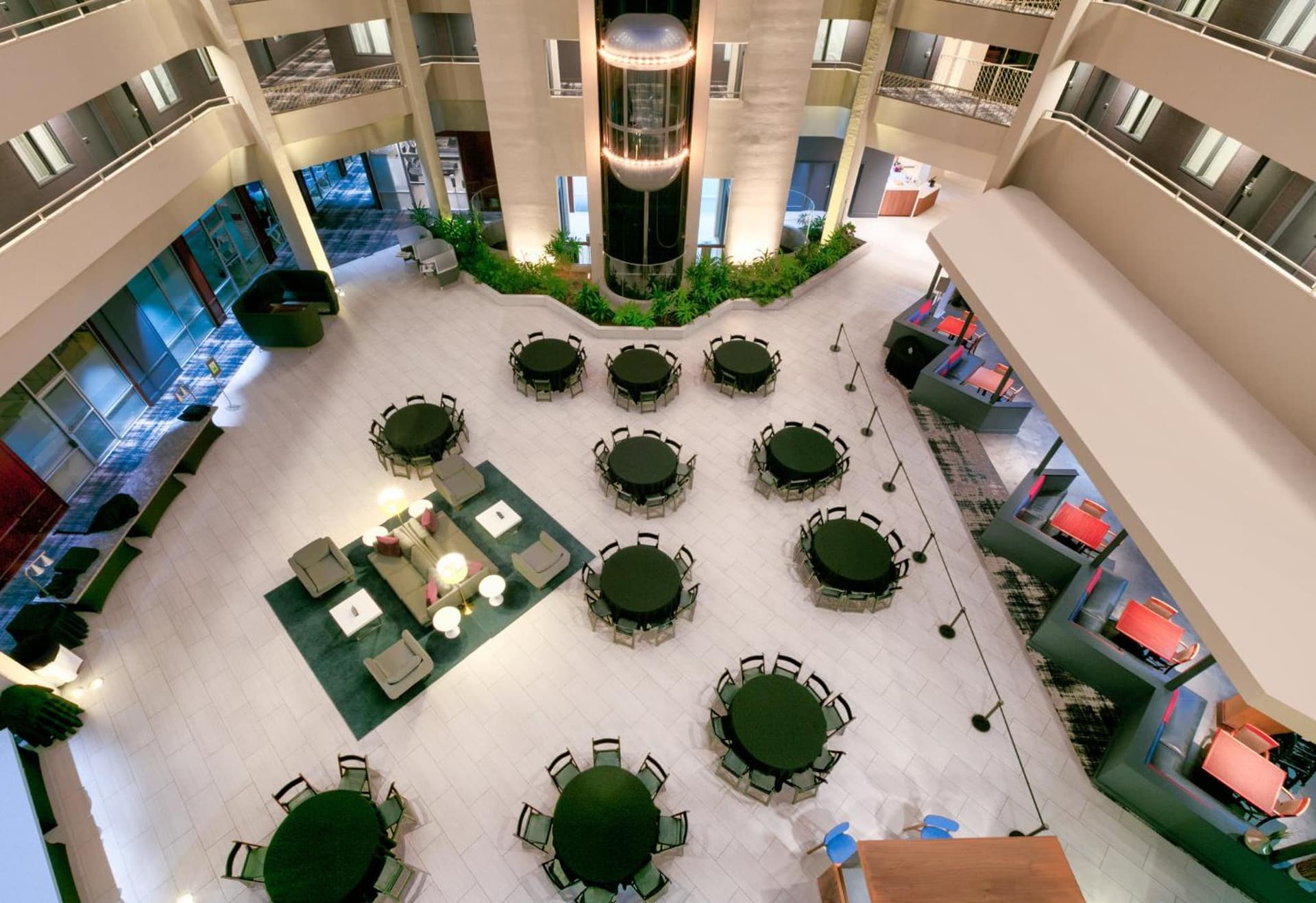 The Arlin, Arlington, a Tribute Portfolio Hotel gallery photo in Arlington, TX — image 10