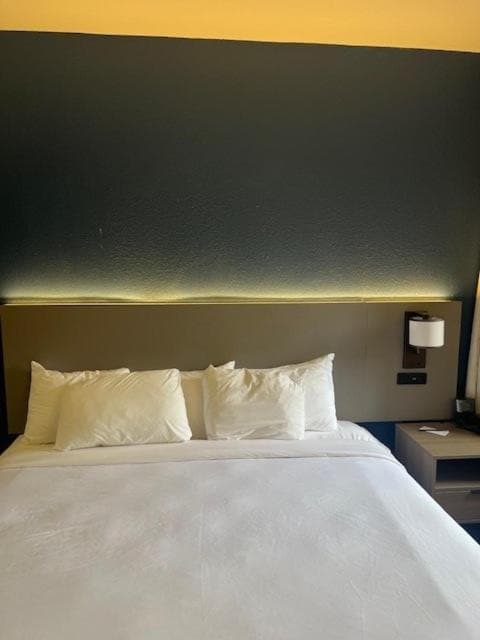 Comfort Suites Baton Rouge South I-10 gallery photo in Baton Rouge, LA — image 32