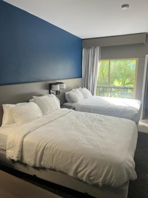 Comfort Suites Baton Rouge South I-10 gallery photo in Baton Rouge, LA — image 47