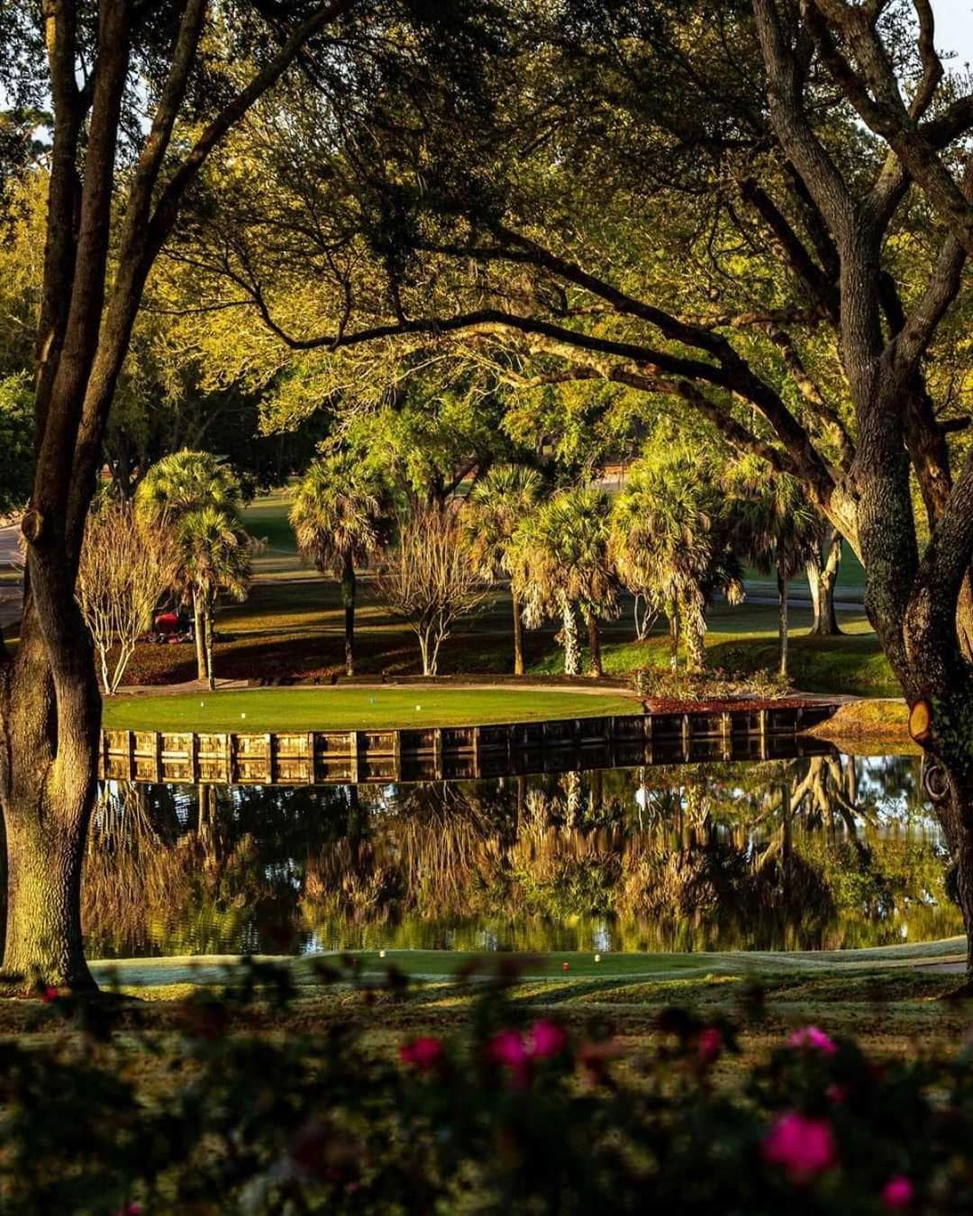 Mission Resort and Club gallery photo in Clermont, FL — image 51