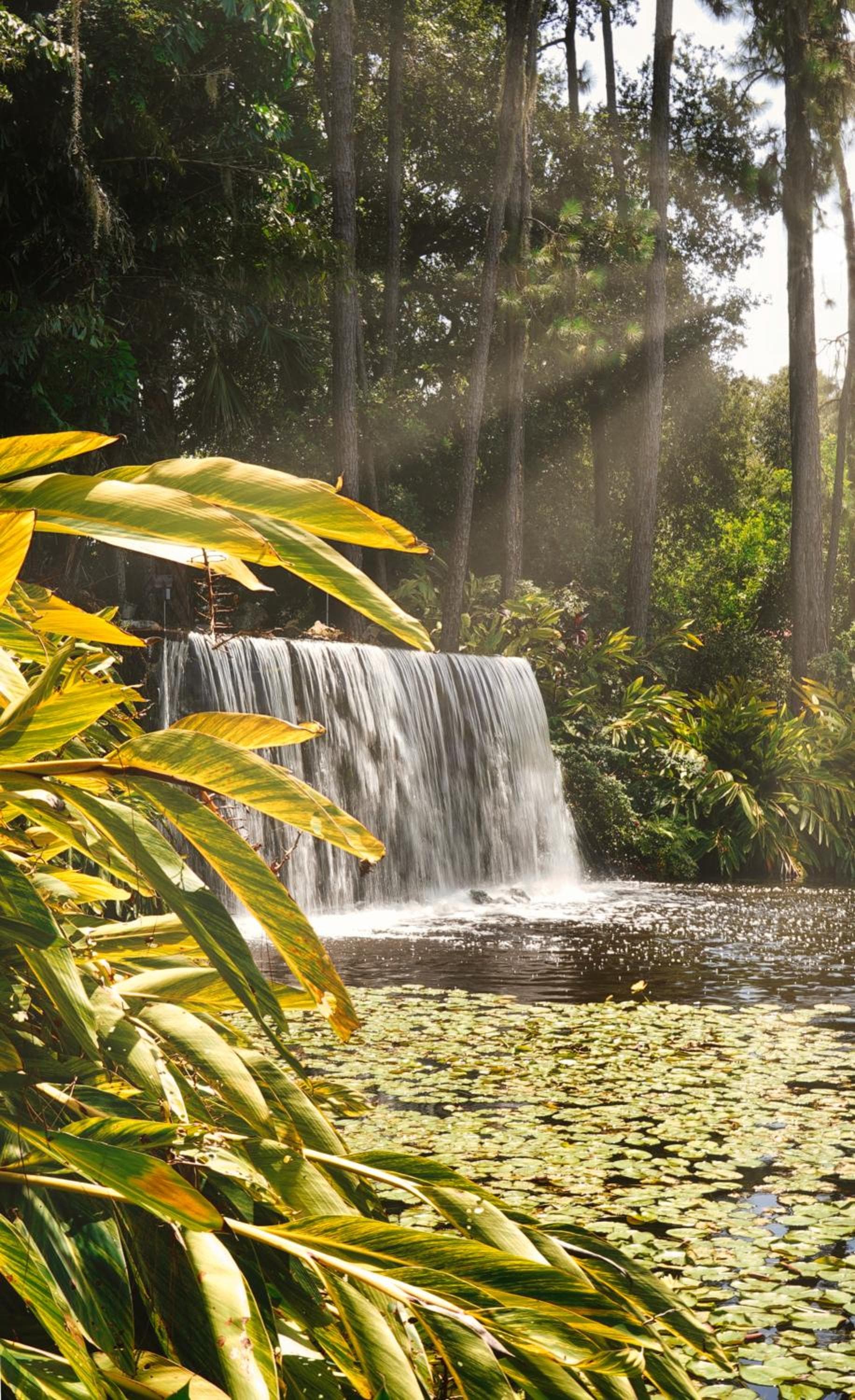 Mission Resort and Club gallery photo in Clermont, FL — image 75