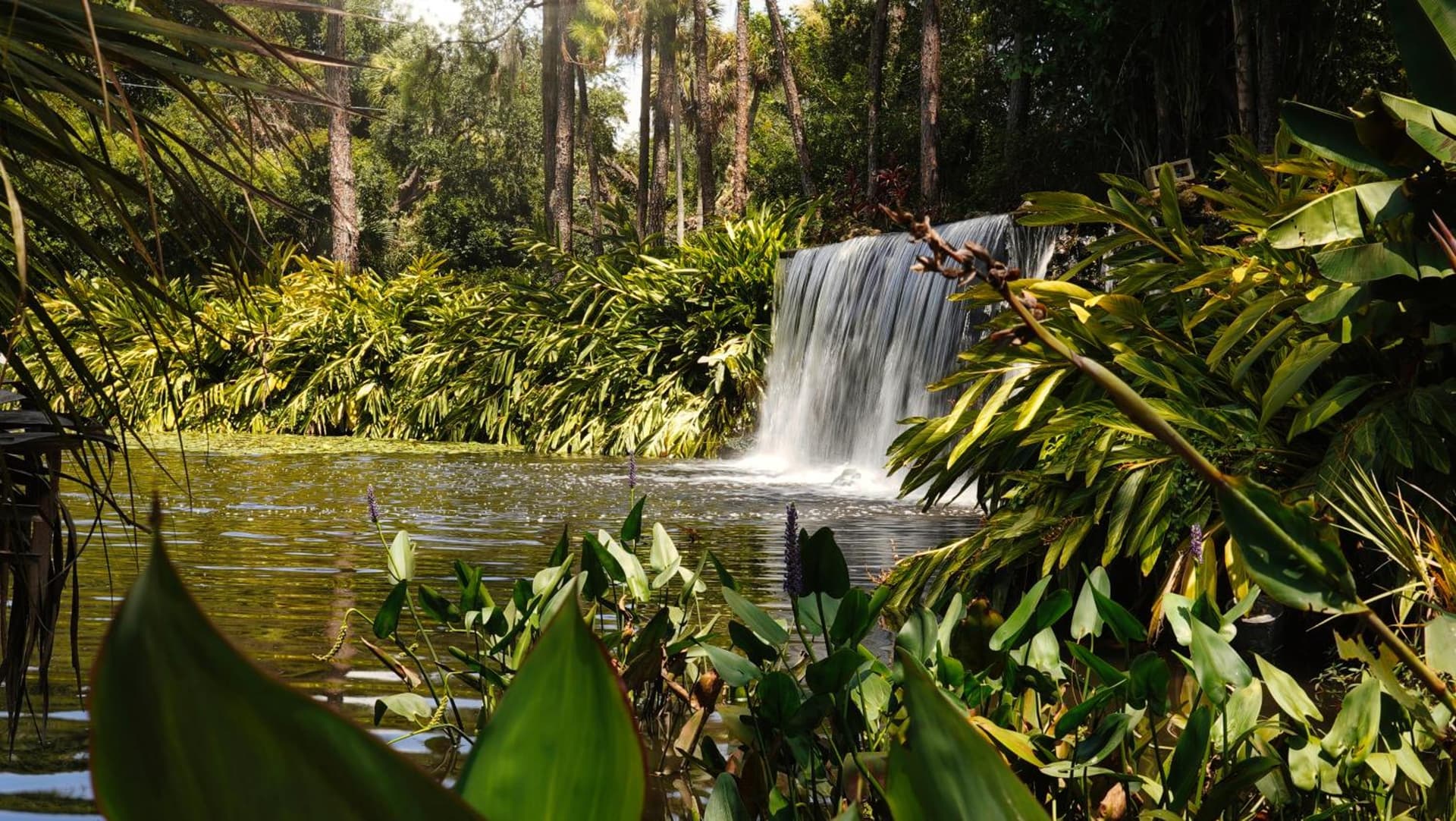 Mission Resort and Club gallery photo in Clermont, FL — image 24