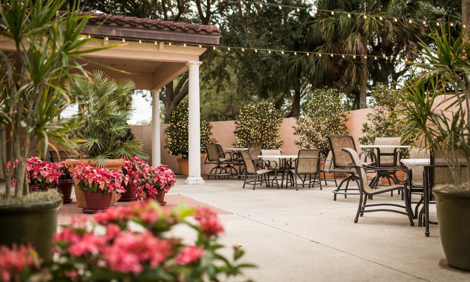 Mission Resort and Club gallery photo in Clermont, FL — image 36