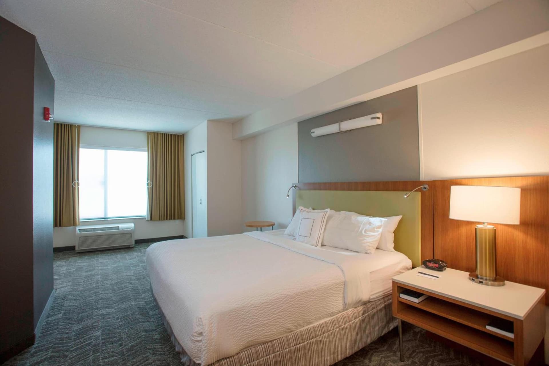SpringHill Suites by Marriott Athens West gallery photo in Athens, GA — image 15