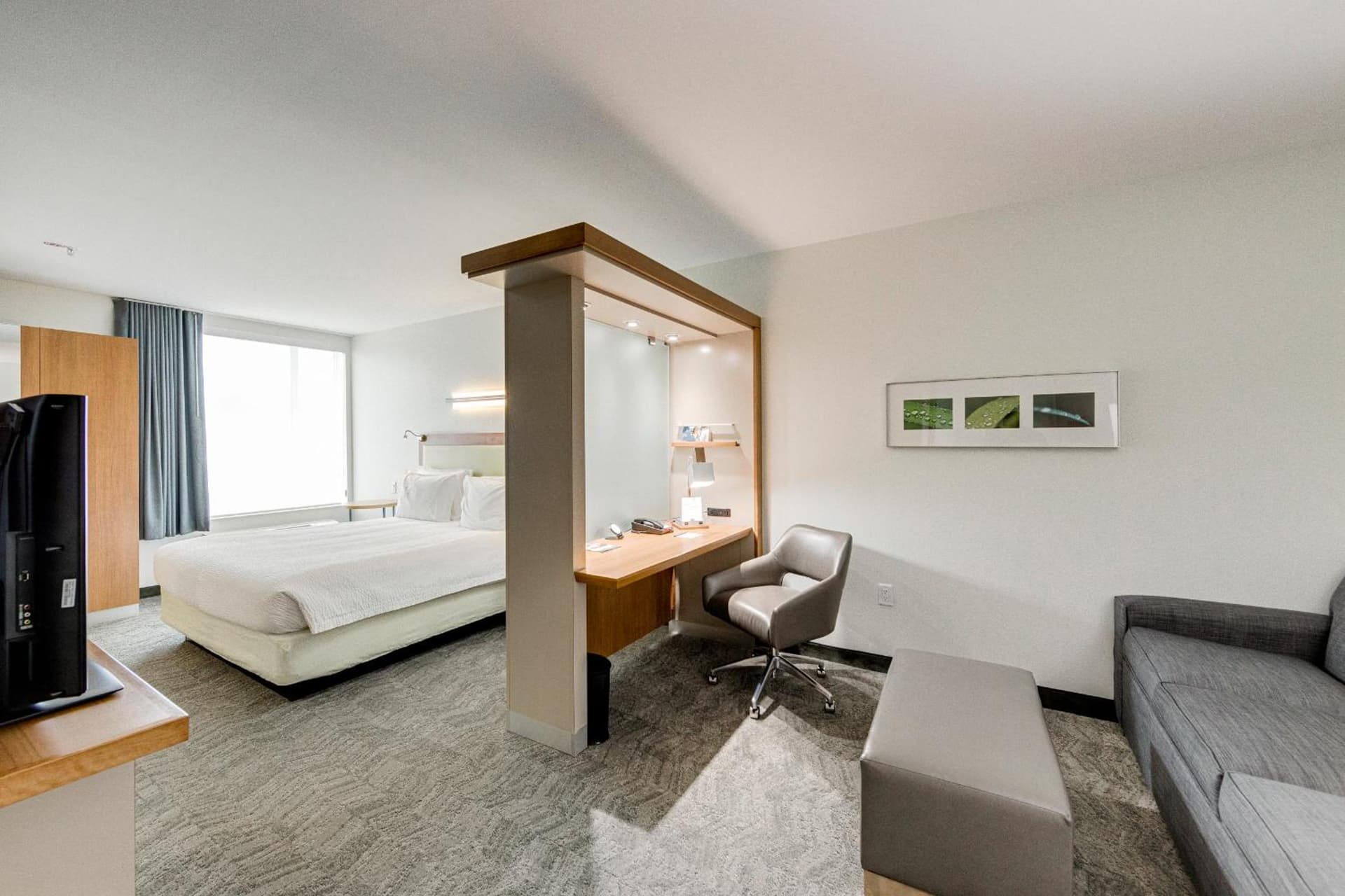 SpringHill Suites by Marriott Houston The Woodlands gallery photo in The Woodlands, TX — image 5
