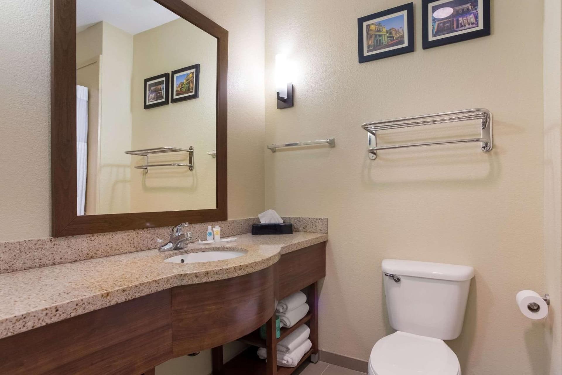 Comfort Suites Saraland - North Mobile gallery photo in Saraland, AL — image 25