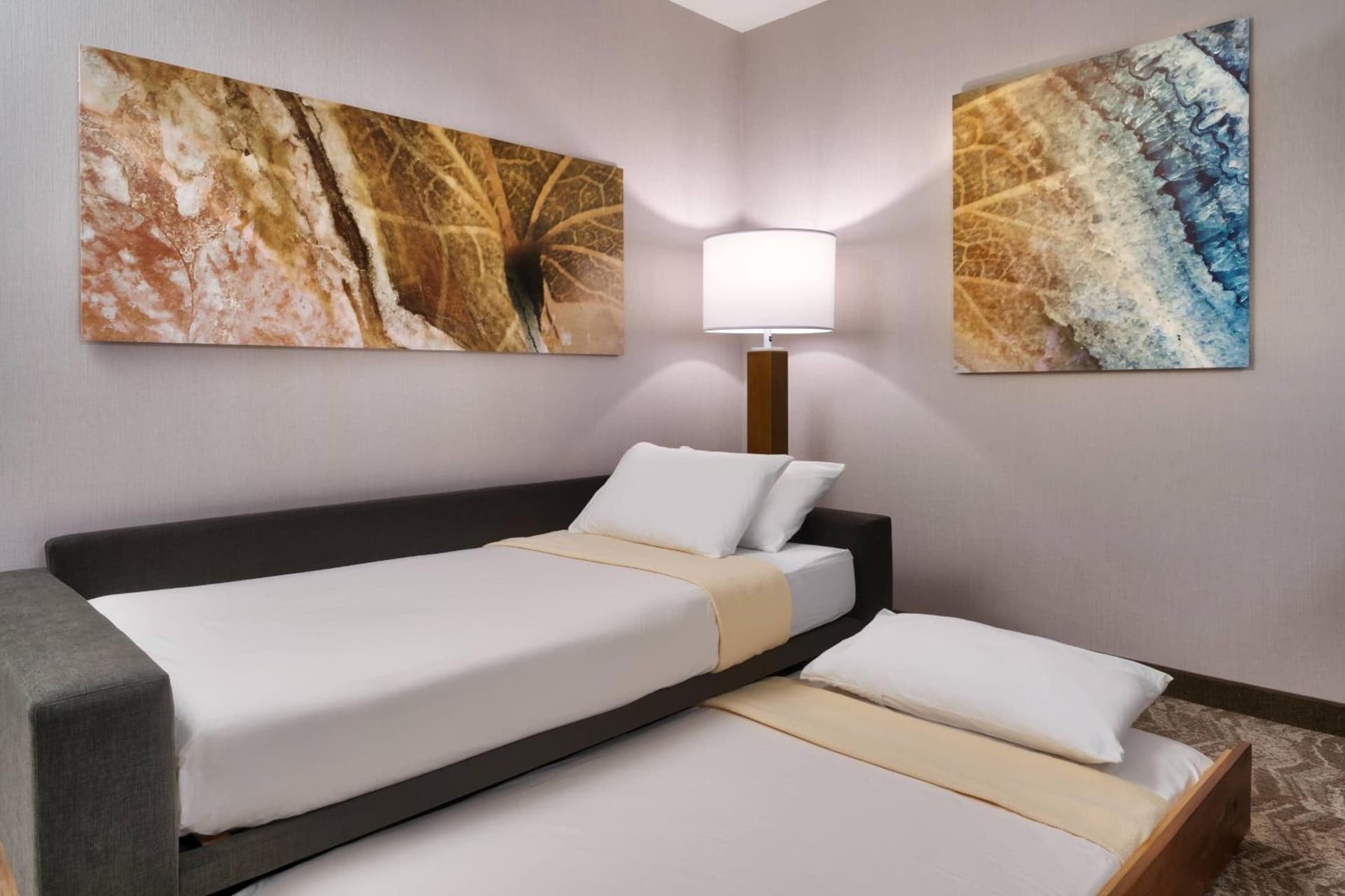 SpringHill Suites by Marriott El Paso Airport gallery photo in El Paso, TX — image 27