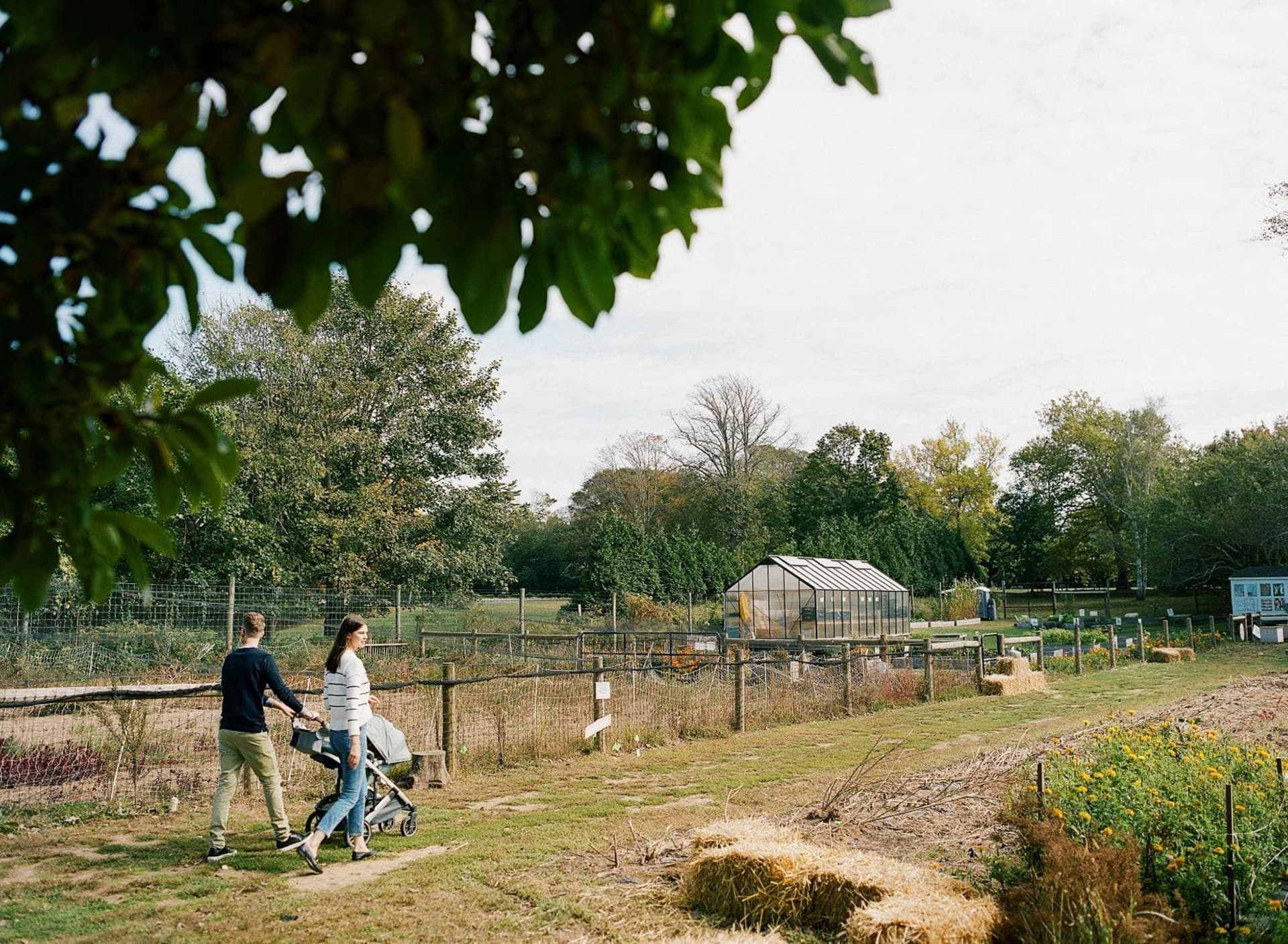 The Roundtree, Amagansett gallery photo in Amagansett, NY — image 27