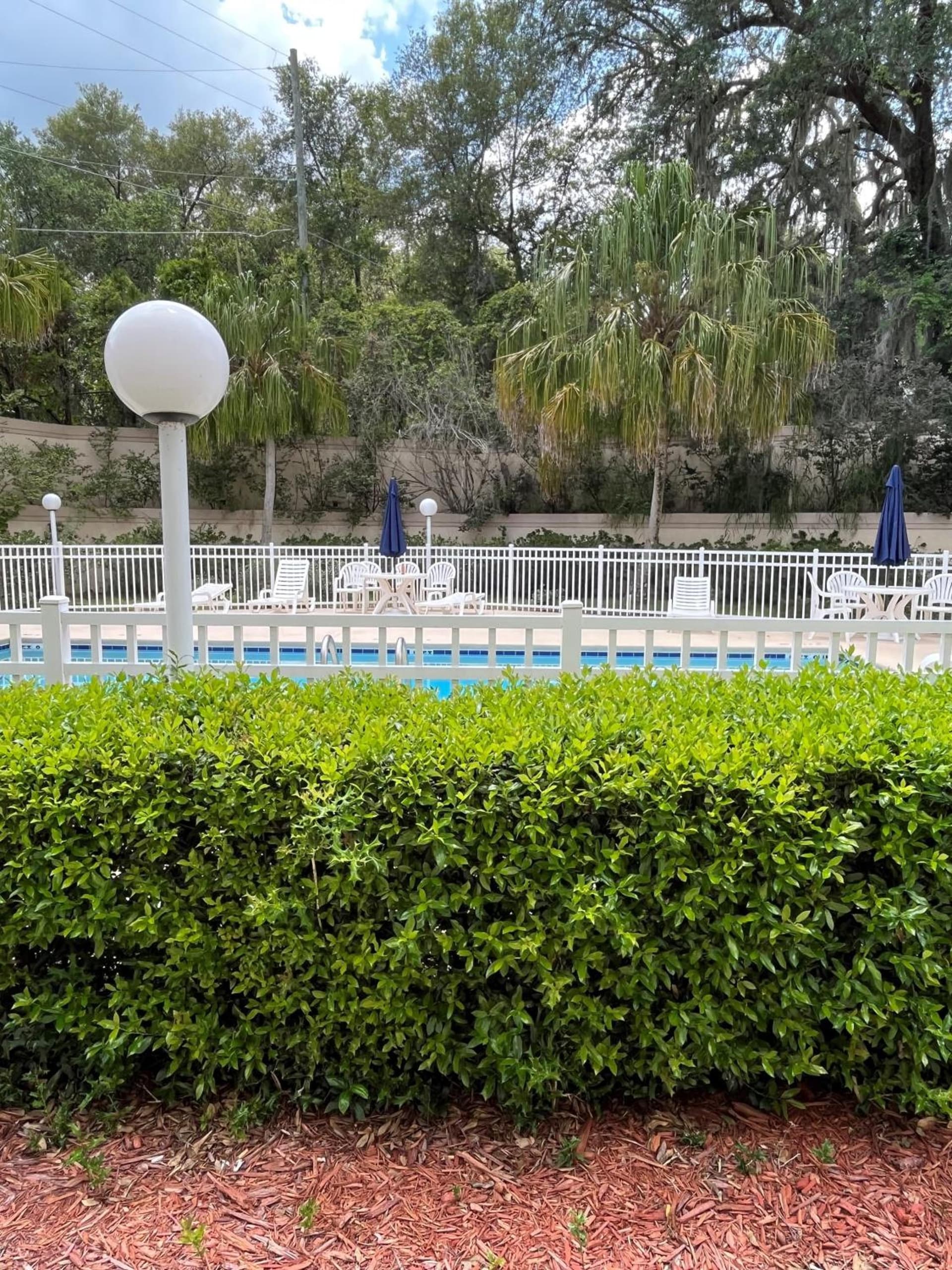 Microtel Inn and Suites by Wyndham - Lady Lake/ The Villages gallery photo in The Villages, FL — image 24