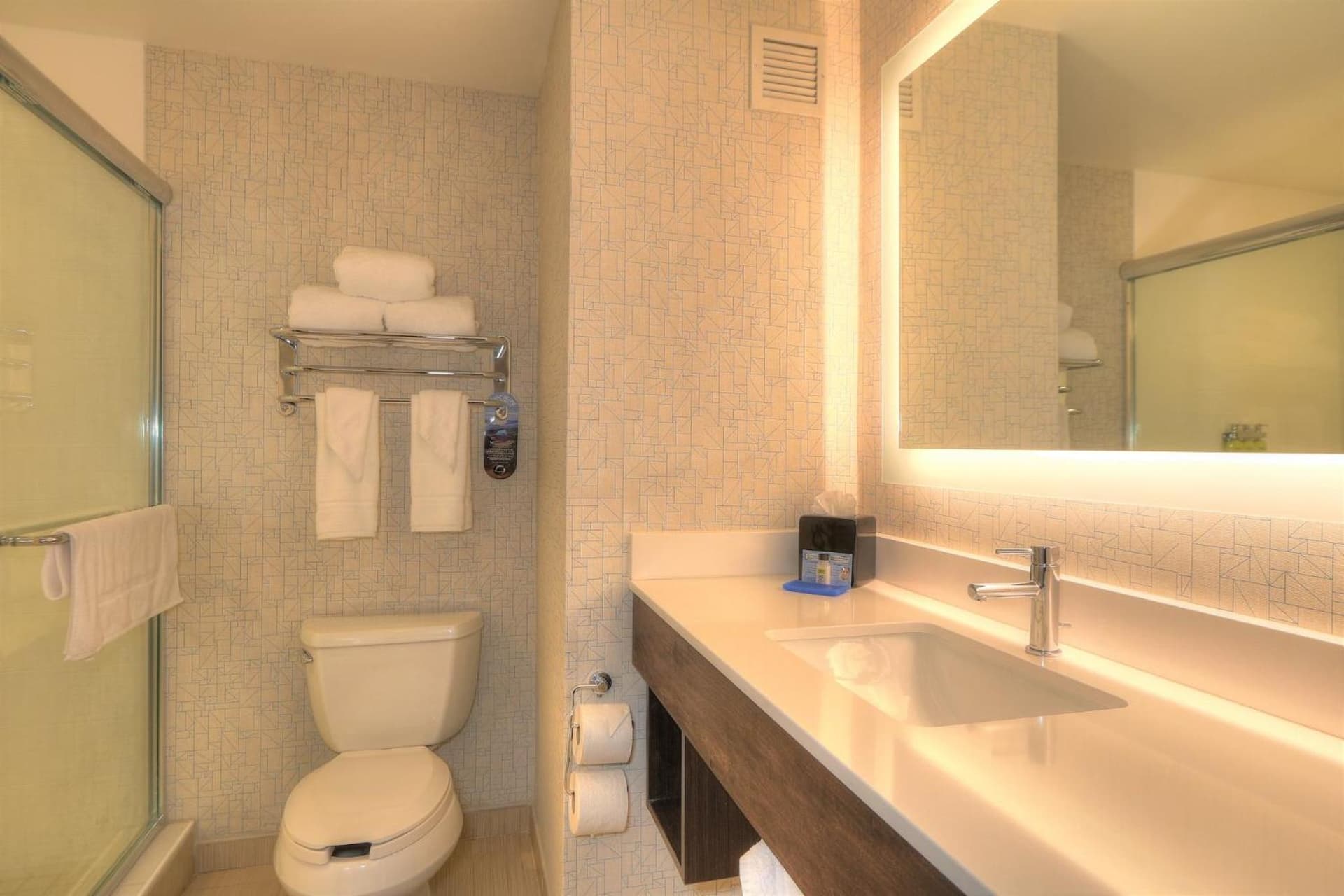 Holiday Inn Express Hotel & Suites Mobile Saraland by IHG gallery photo in Saraland, AL — image 74