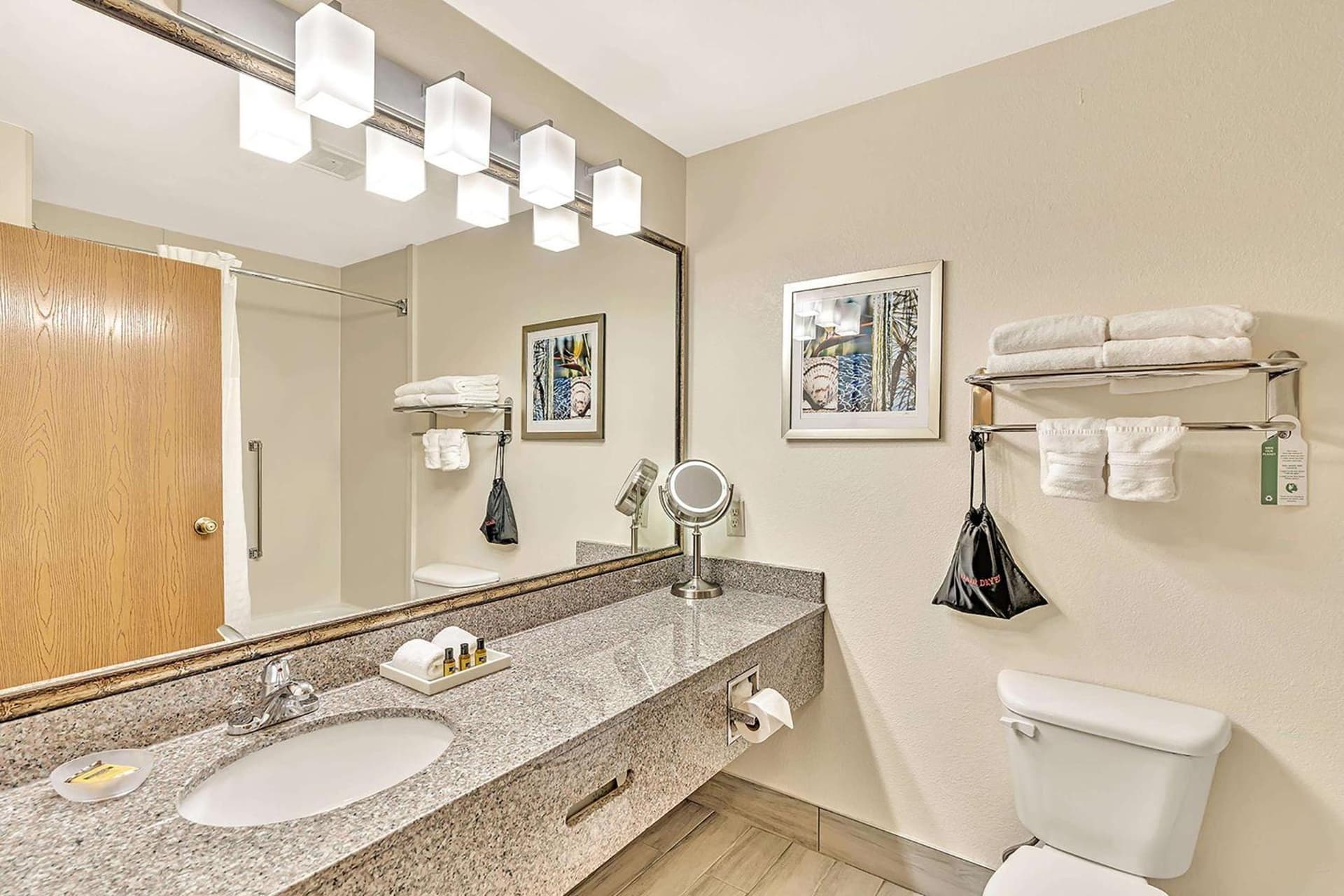 Best Western Plus Lewisville Flower Mound interior in Lewisville, TX — gallery photo 2