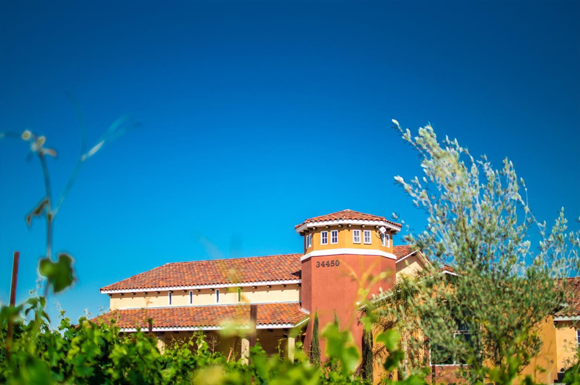 Carter Estate Winery and Resort gallery photo in Temecula, CA — image 18