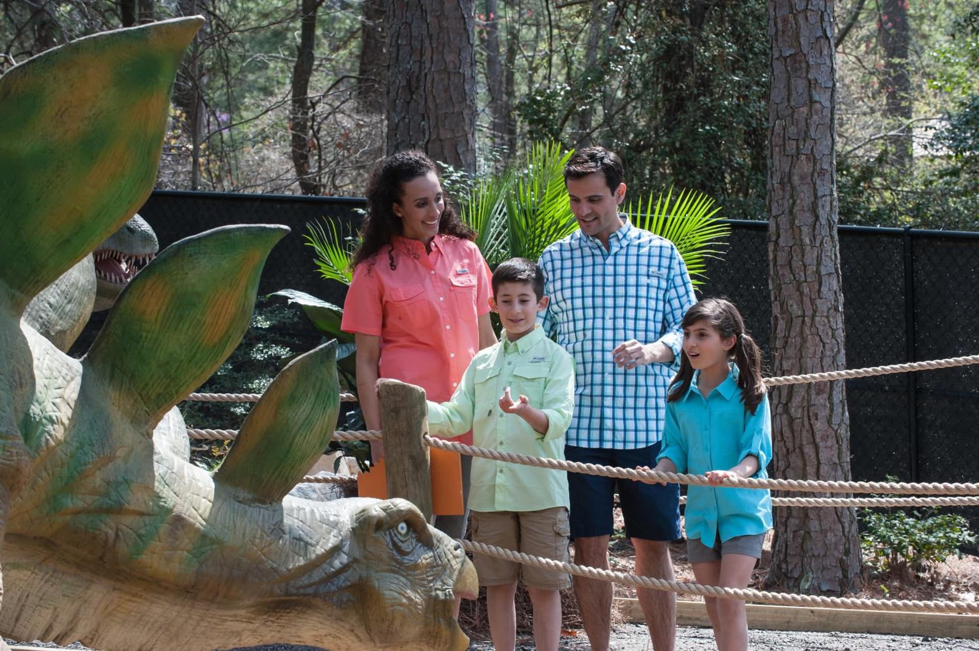 The Inn at Stone Mountain Park gallery photo in Stone Mountain, GA — image 4
