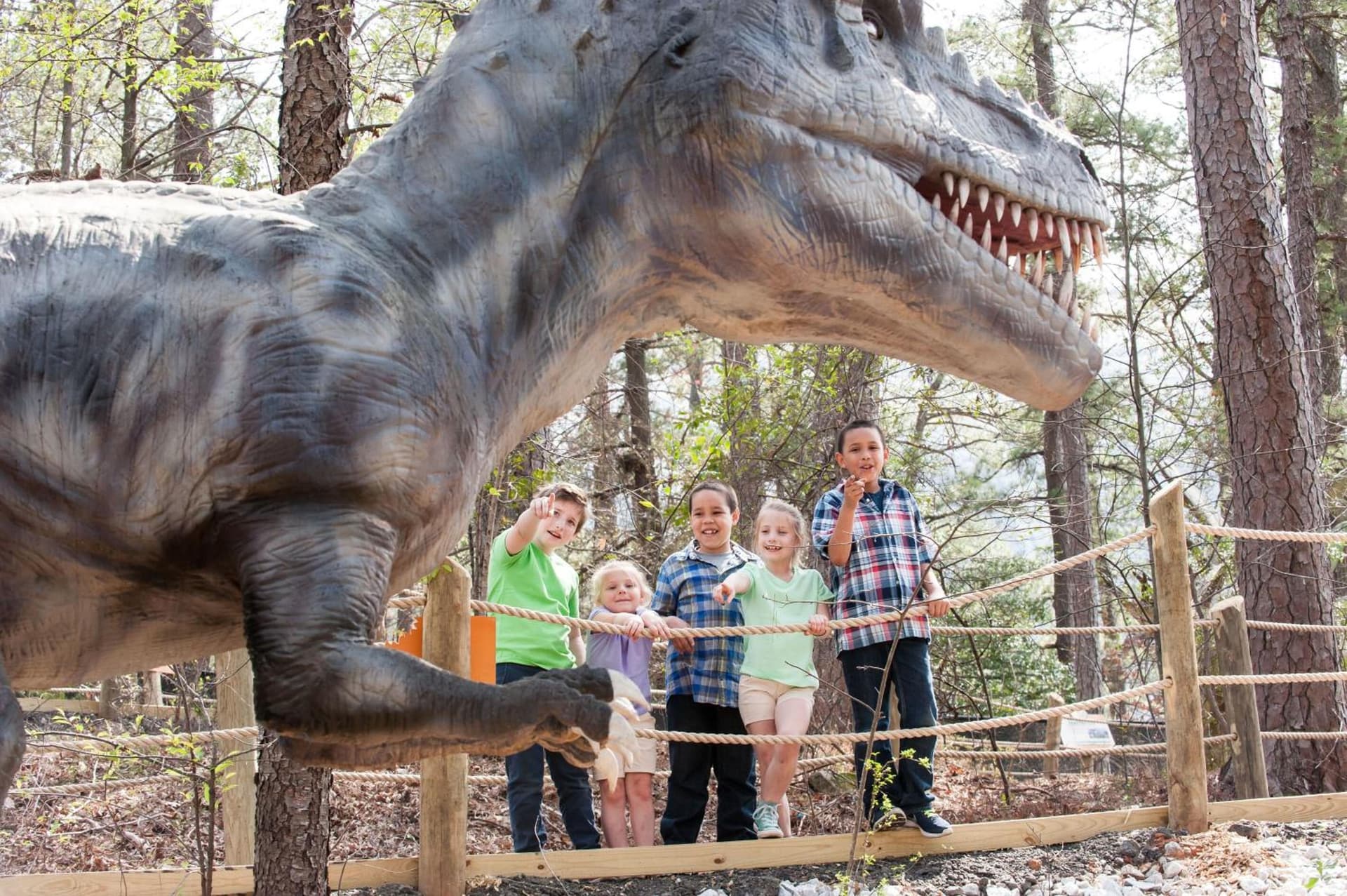 The Inn at Stone Mountain Park gallery photo in Stone Mountain, GA — image 31