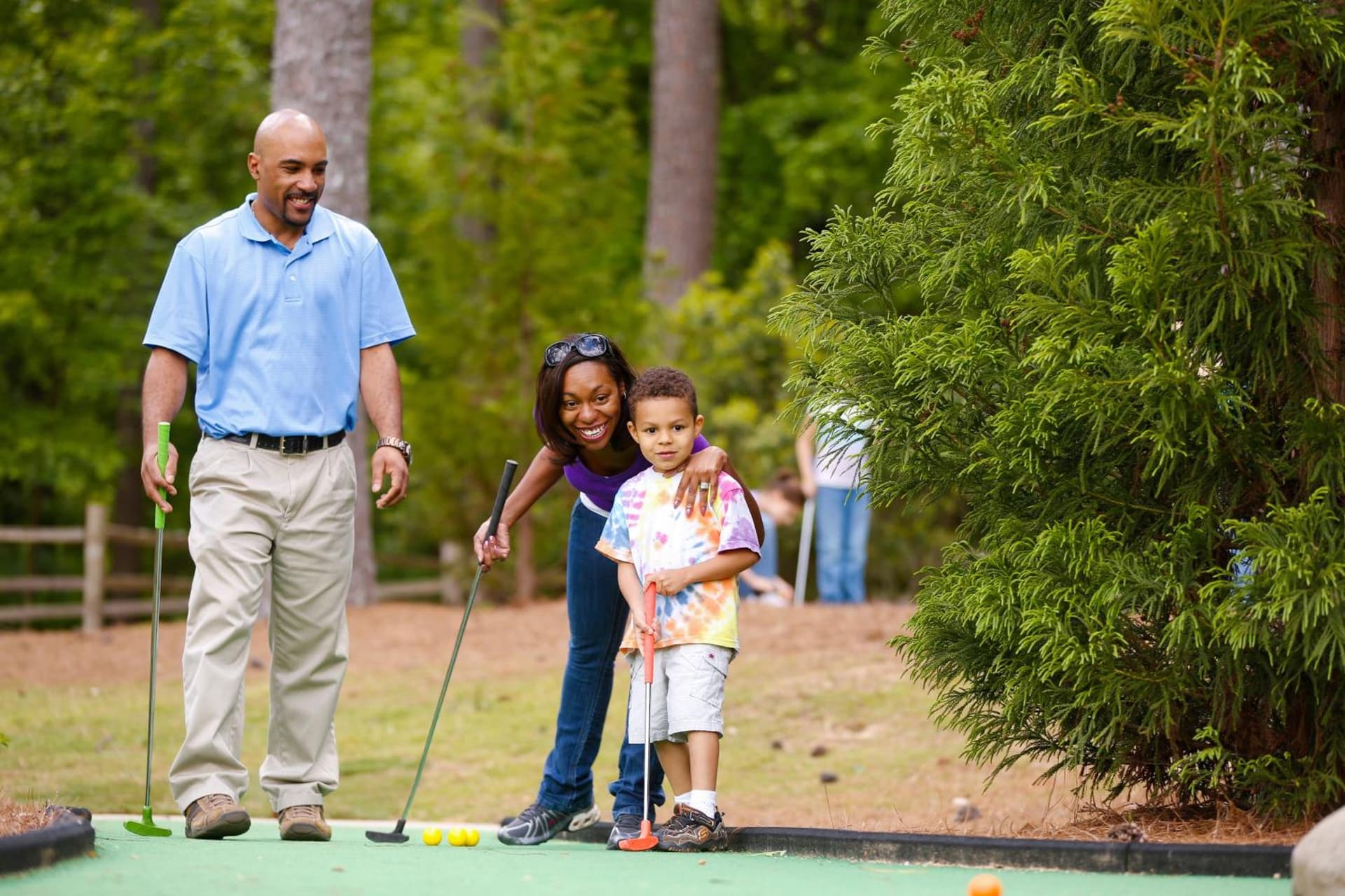 The Inn at Stone Mountain Park gallery photo in Stone Mountain, GA — image 19