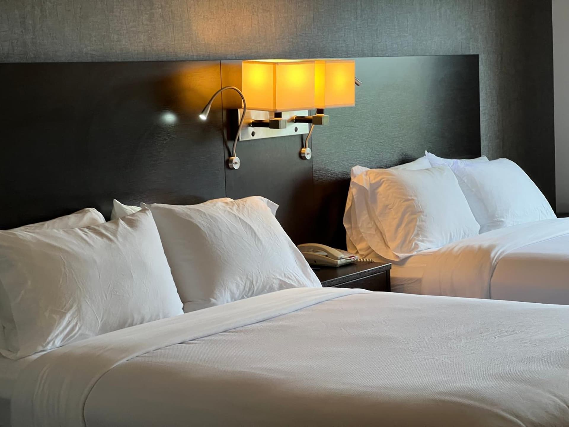 Comfort Suites Boise West Meridian gallery photo in Meridian, ID — image 6