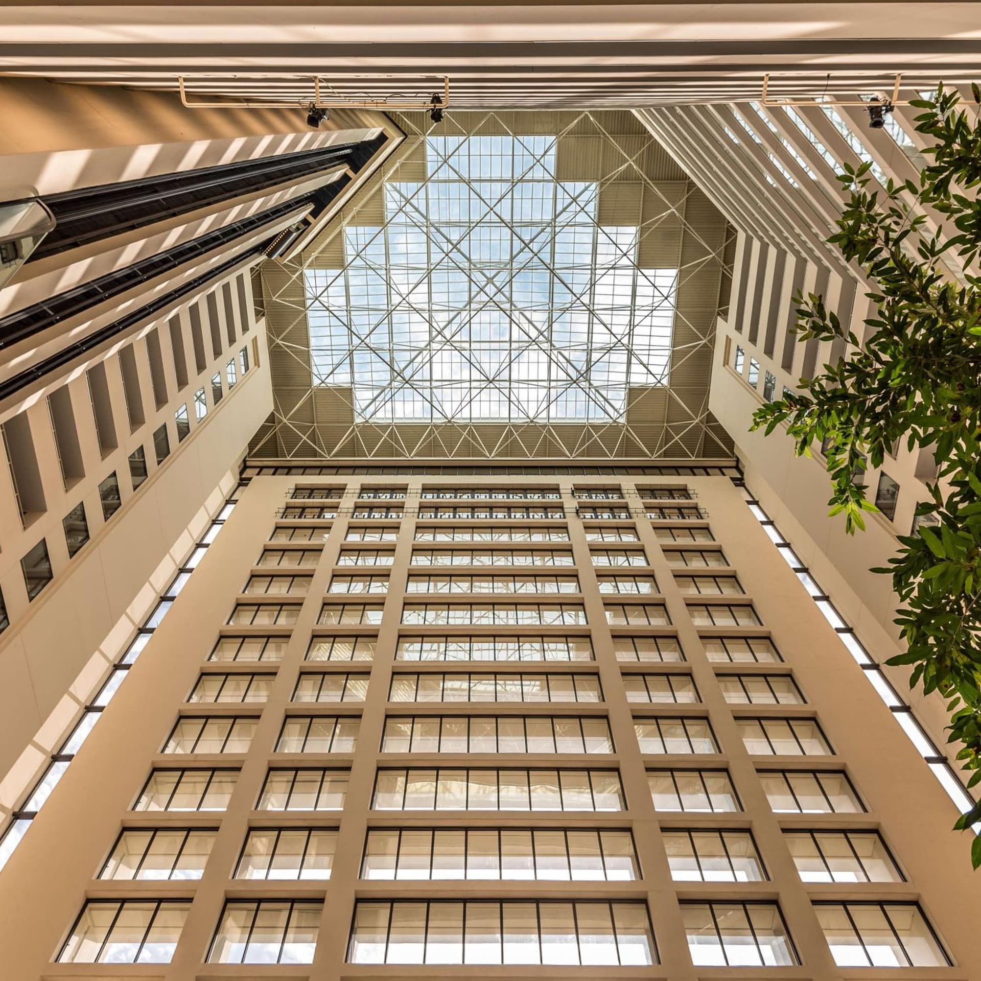 Hyatt Regency Grand Cypress Resort - Free Shuttle to Theme Parks! gallery photo in Orlando, FL — image 43