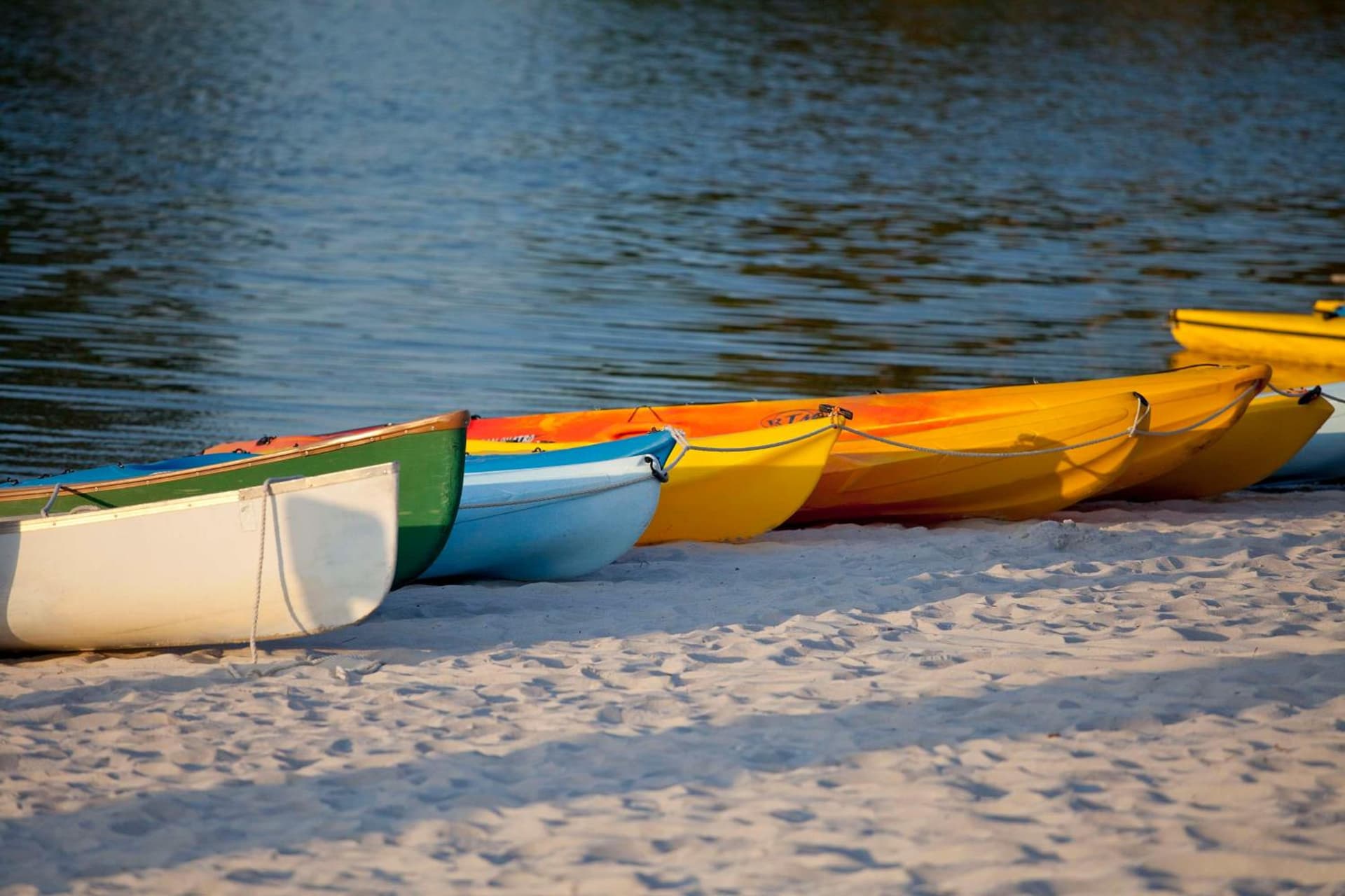Hyatt Regency Grand Cypress Resort - Free Shuttle to Theme Parks! gallery photo in Orlando, FL — image 82