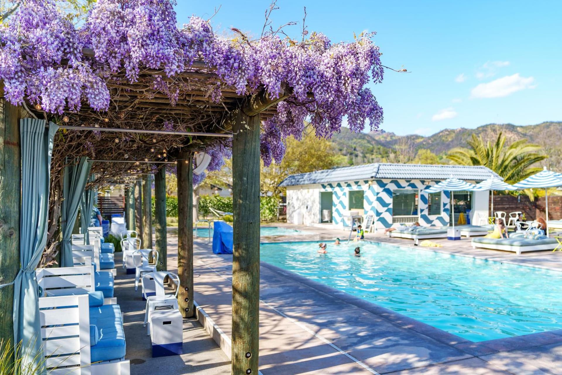 Calistoga Motor Lodge and Spa gallery photo in Calistoga, CA — image 90