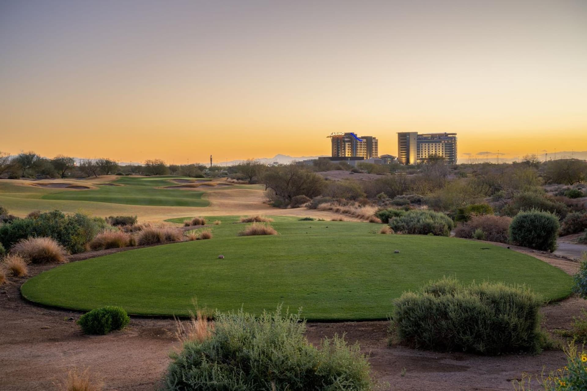 Sheraton Grand at Wild Horse Pass gallery photo in Chandler, AZ — image 123