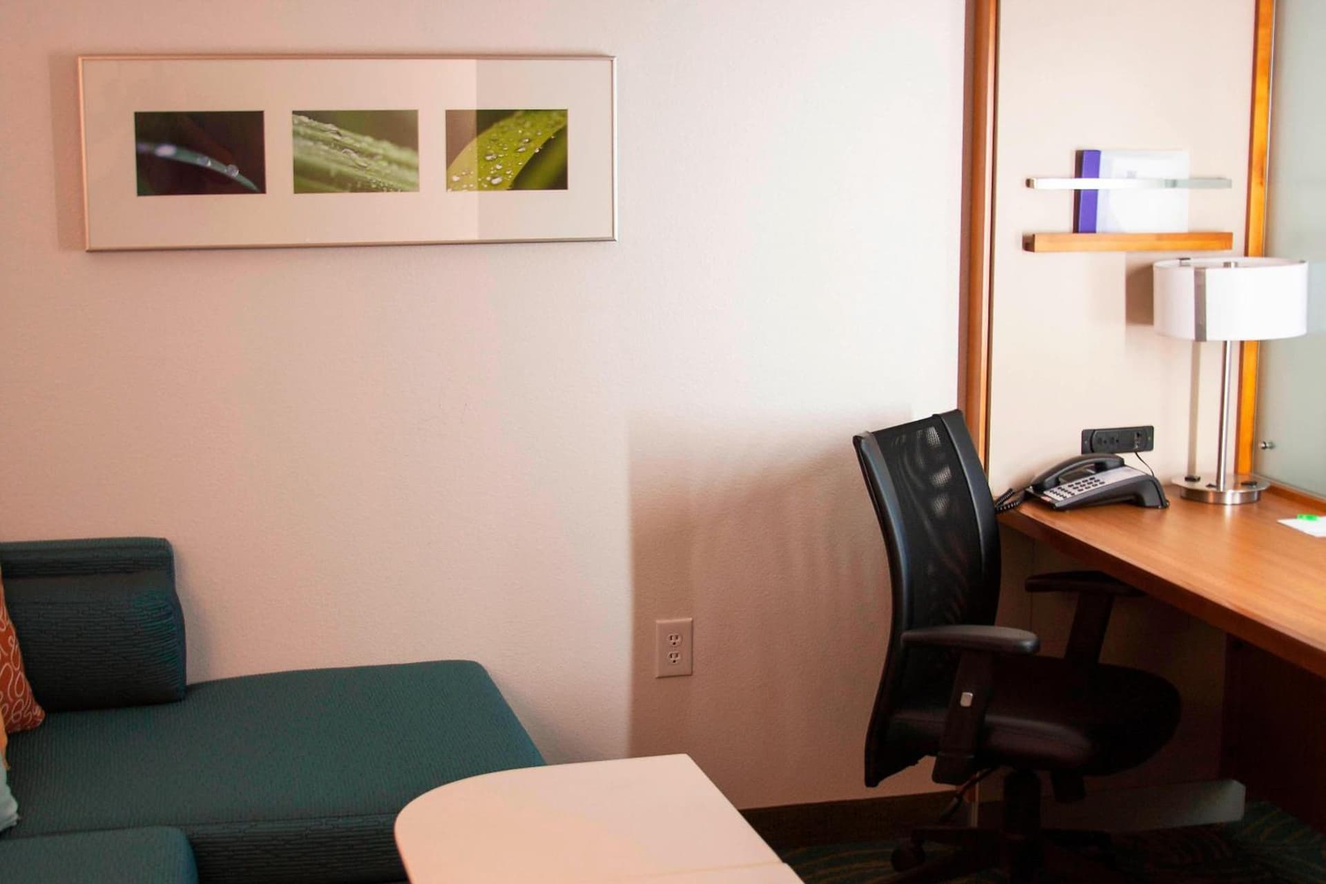 SpringHill Suites by Marriott Corpus Christi gallery photo in Corpus Christi, TX — image 11