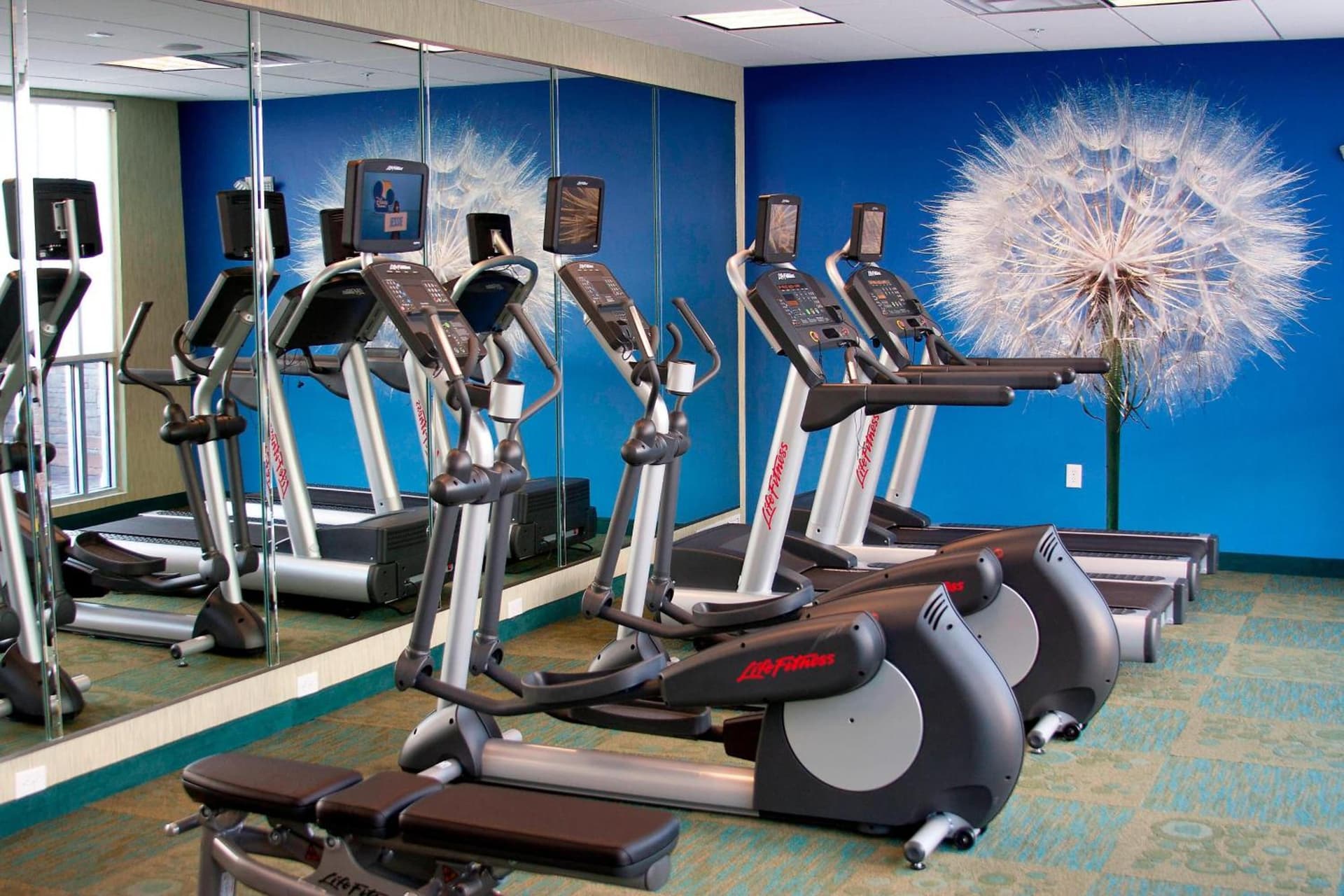 SpringHill Suites by Marriott Corpus Christi gallery photo in Corpus Christi, TX — image 15
