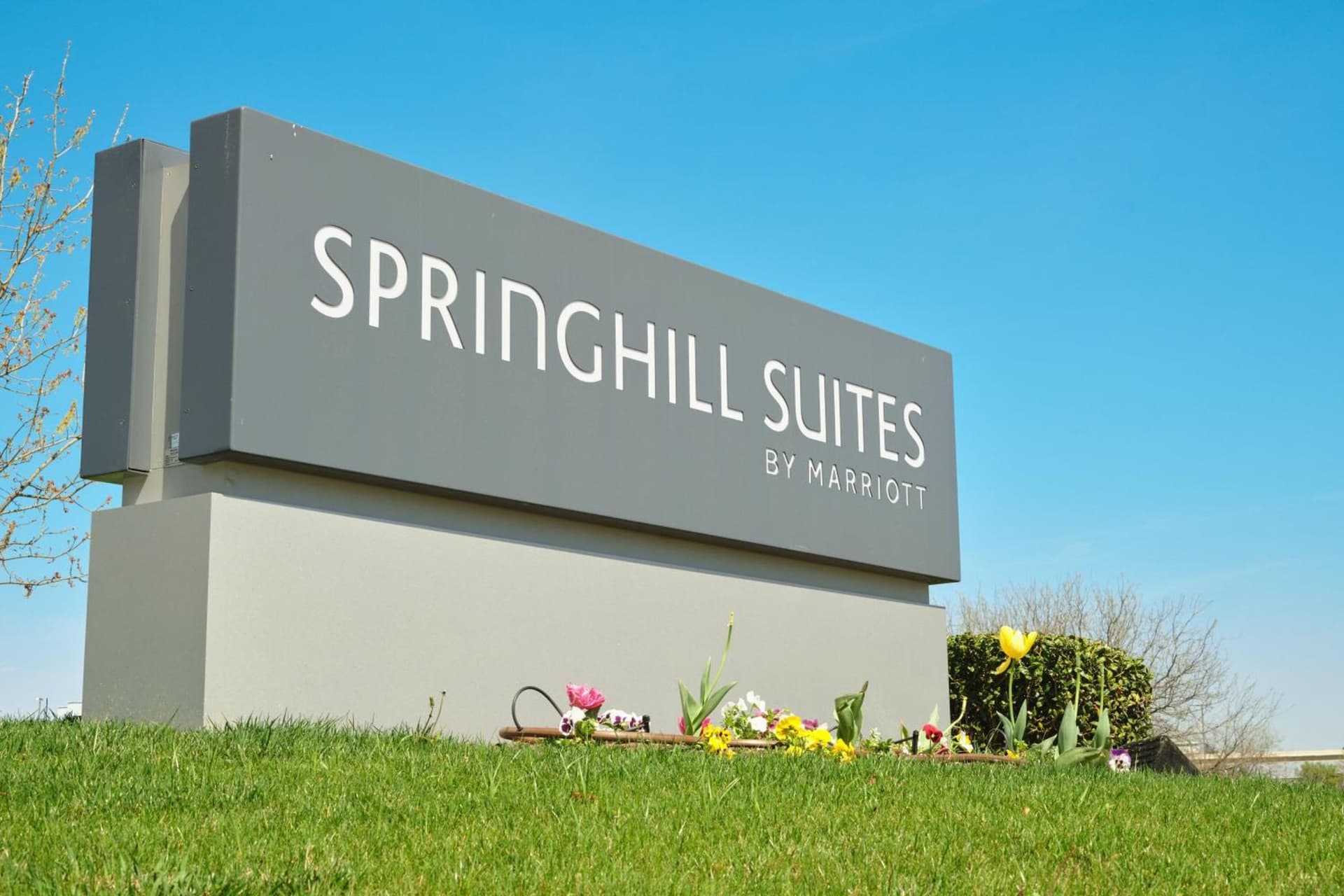SpringHill Suites by Marriott Dallas Lewisville gallery photo in Lewisville, TX — image 13