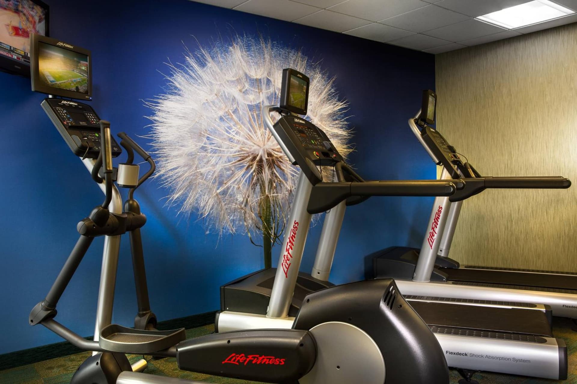 SpringHill Suites Dallas DFW Airport North/Grapevine property views in Grapevine, TX — gallery photo 3