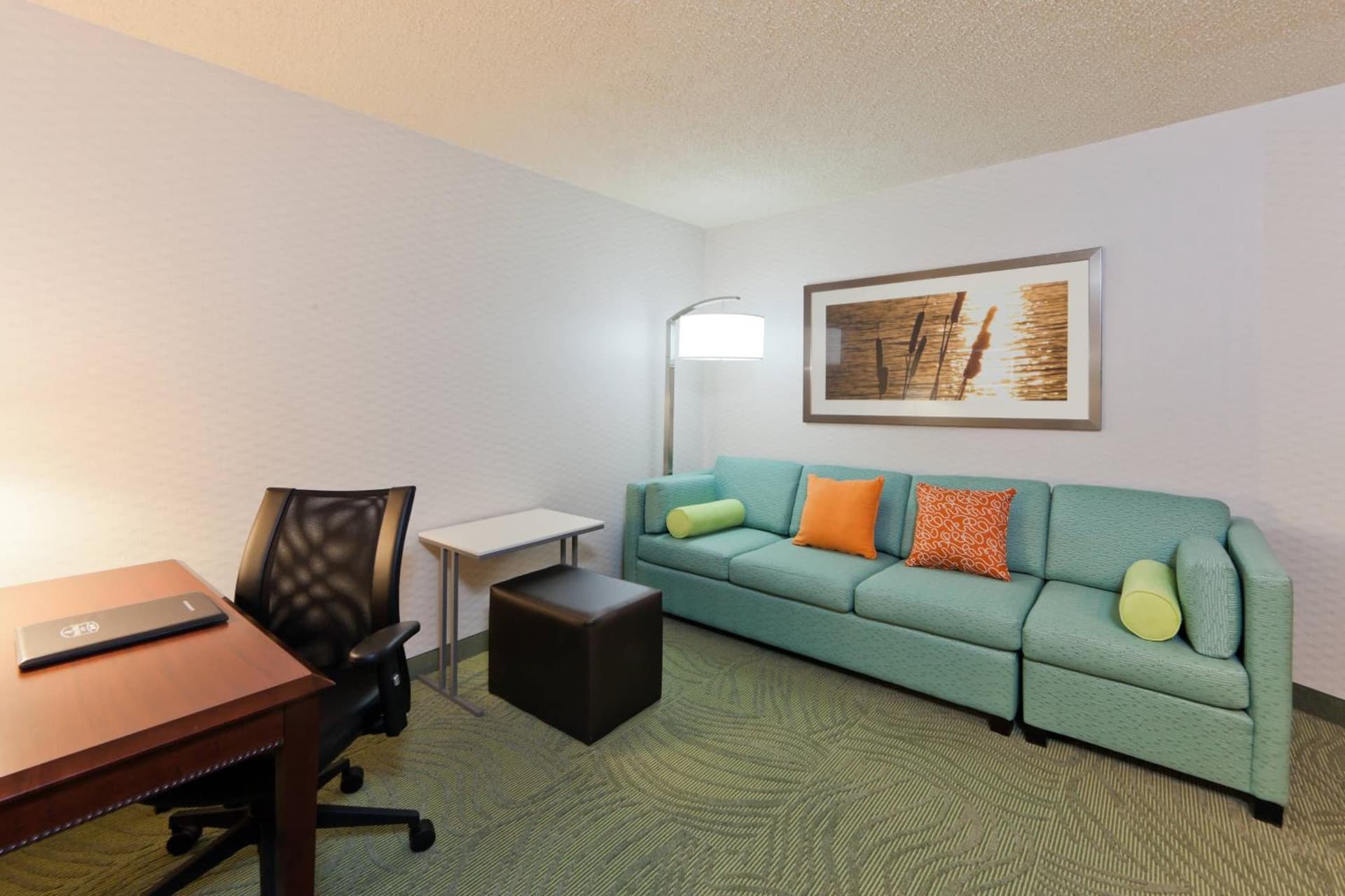 SpringHill Suites Denver North / Westminster gallery photo in Westminster, CO — image 10