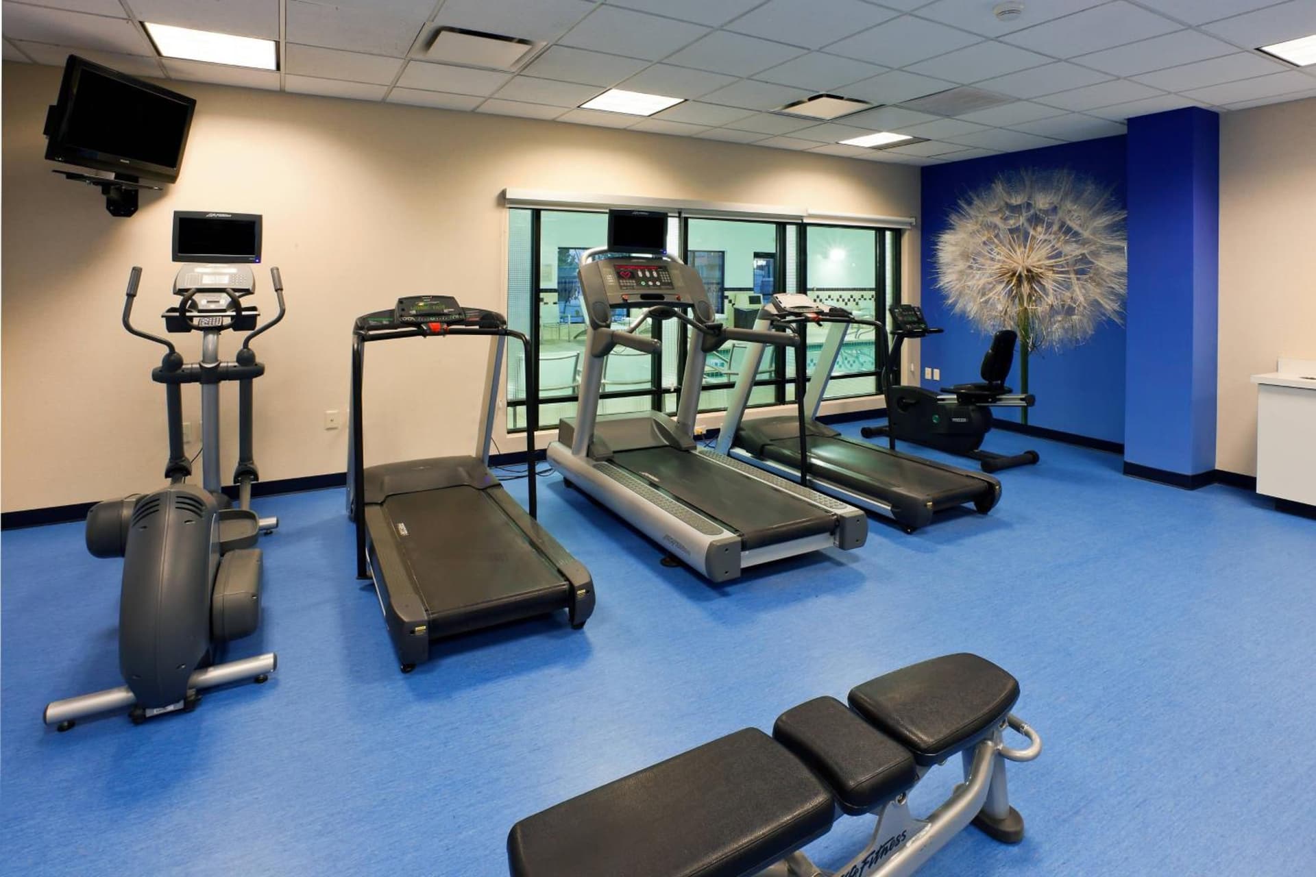 SpringHill Suites Denver North / Westminster gallery photo in Westminster, CO — image 8