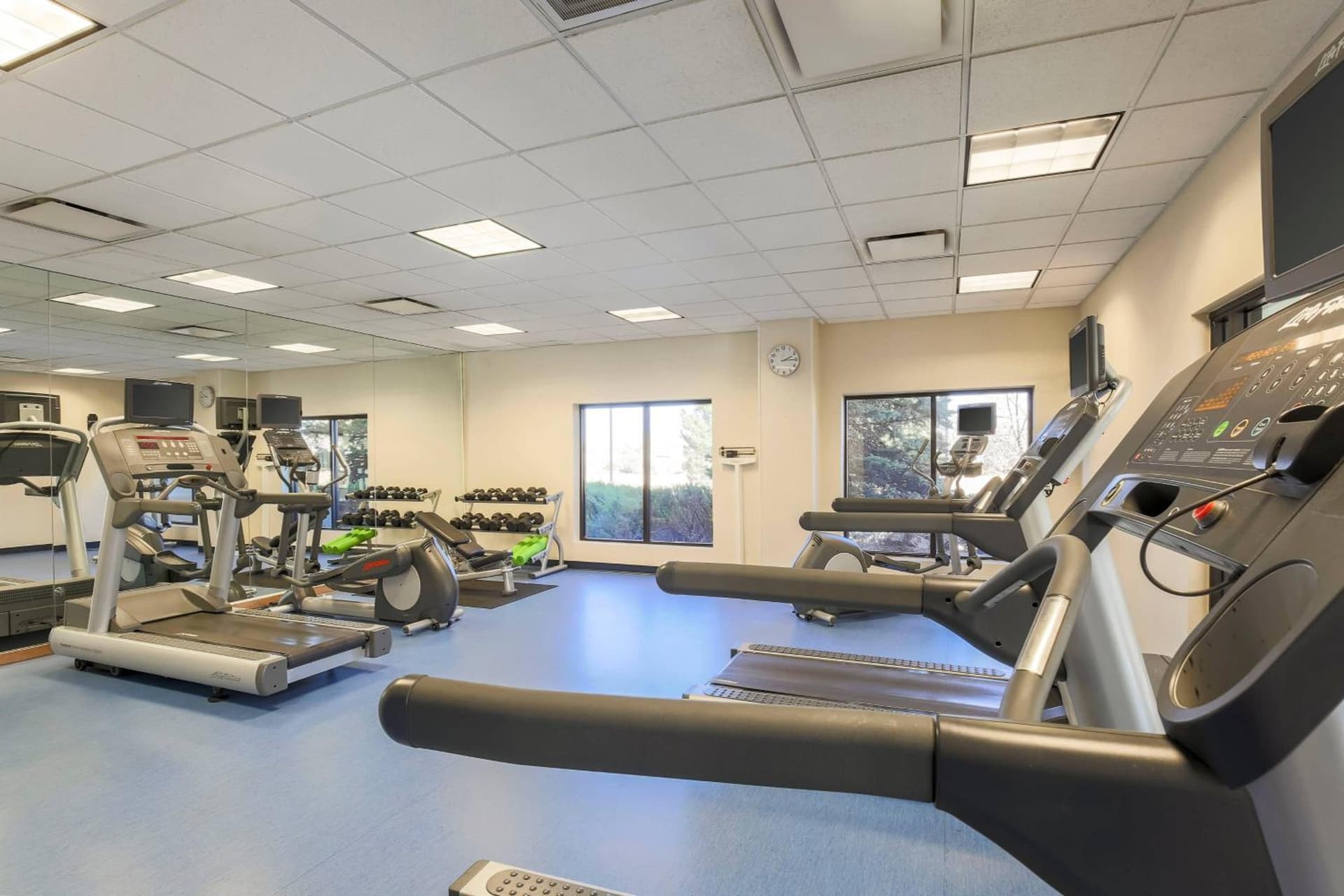 SpringHill Suites Denver North / Westminster gallery photo in Westminster, CO — image 9