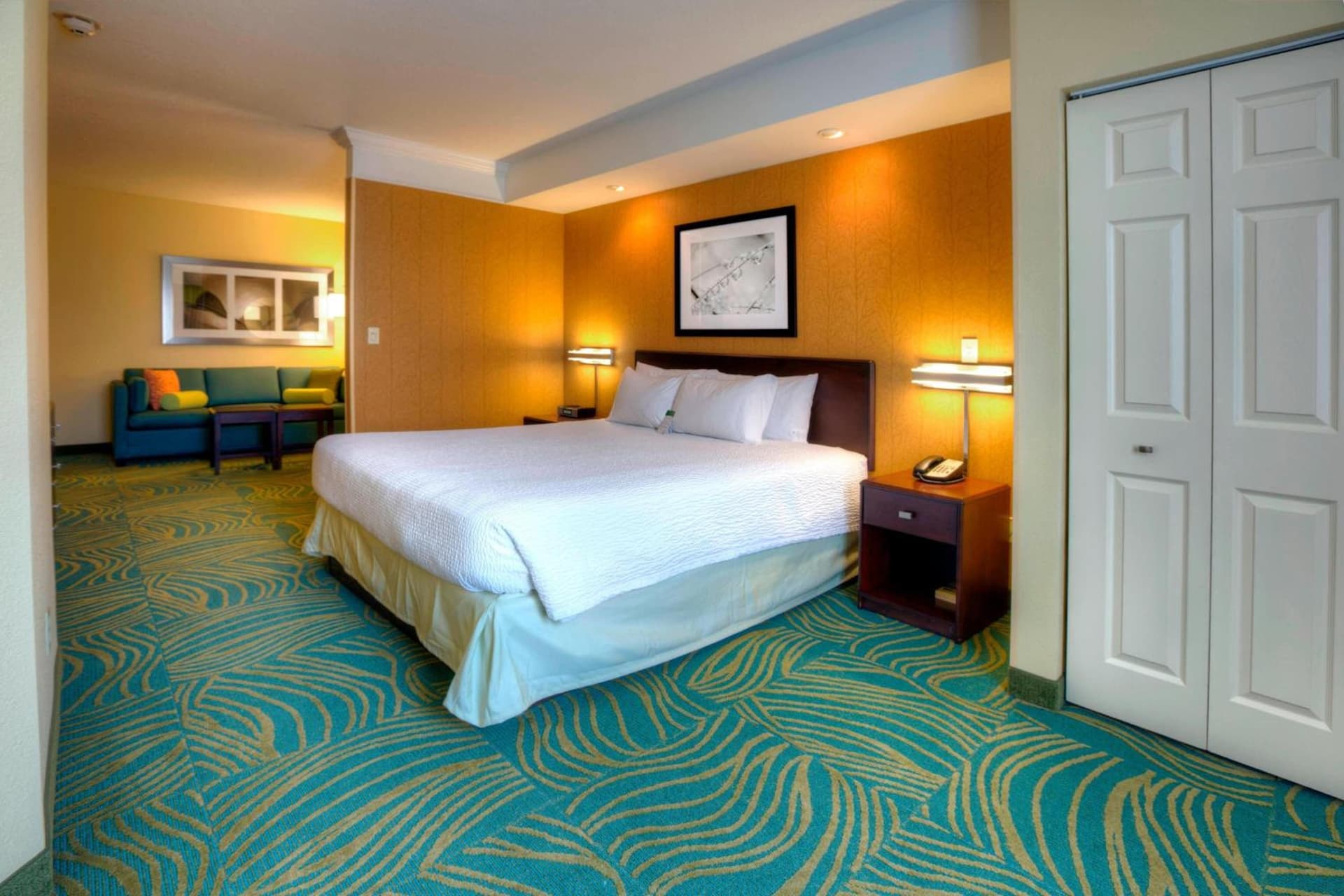 SpringHill Suites by Marriott - Tampa Brandon gallery photo in Tampa, FL — image 5